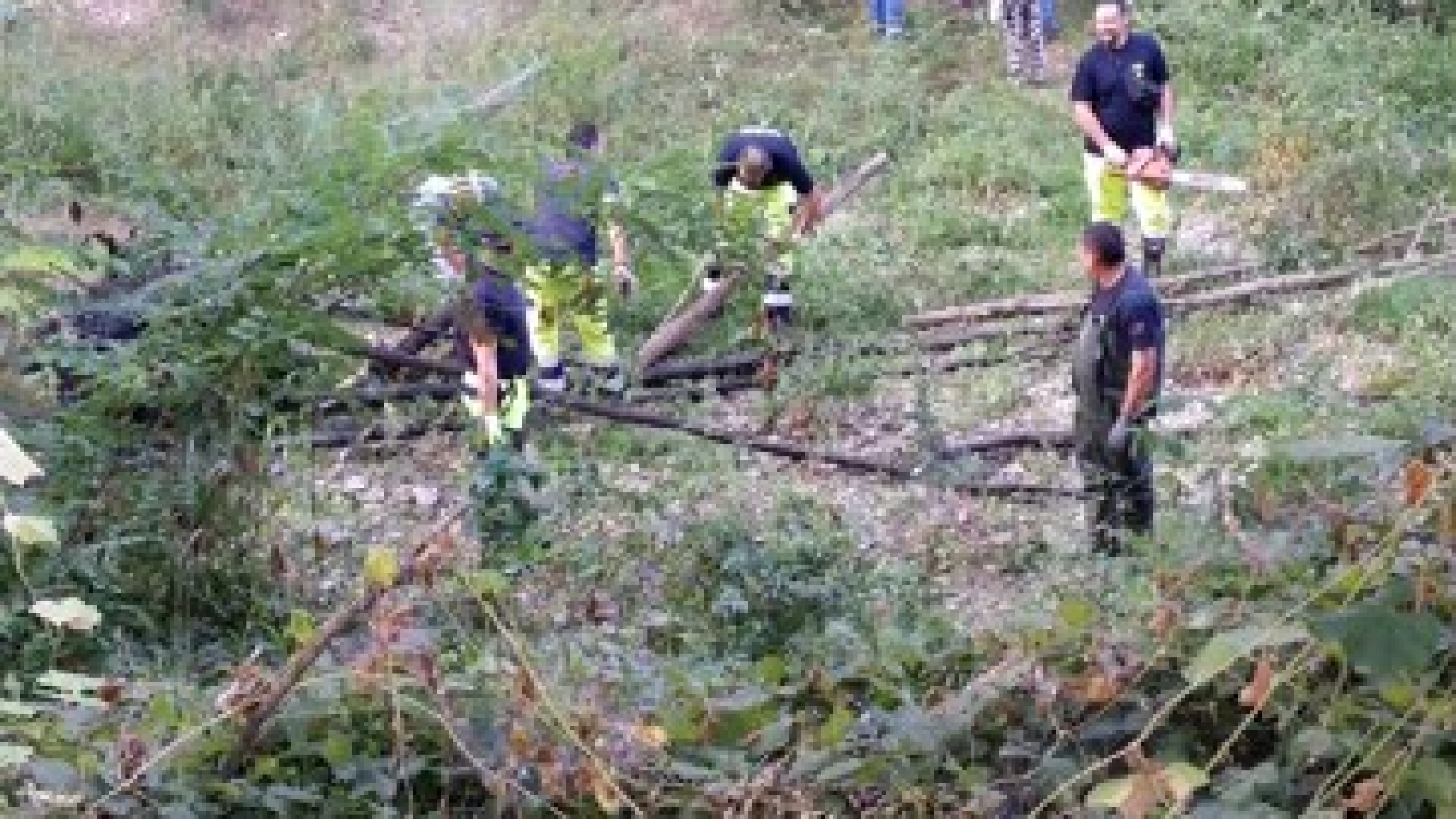 Cadeo, il sindaco pulisce l'alveo del Chiavenna: "Poca partecipazione"