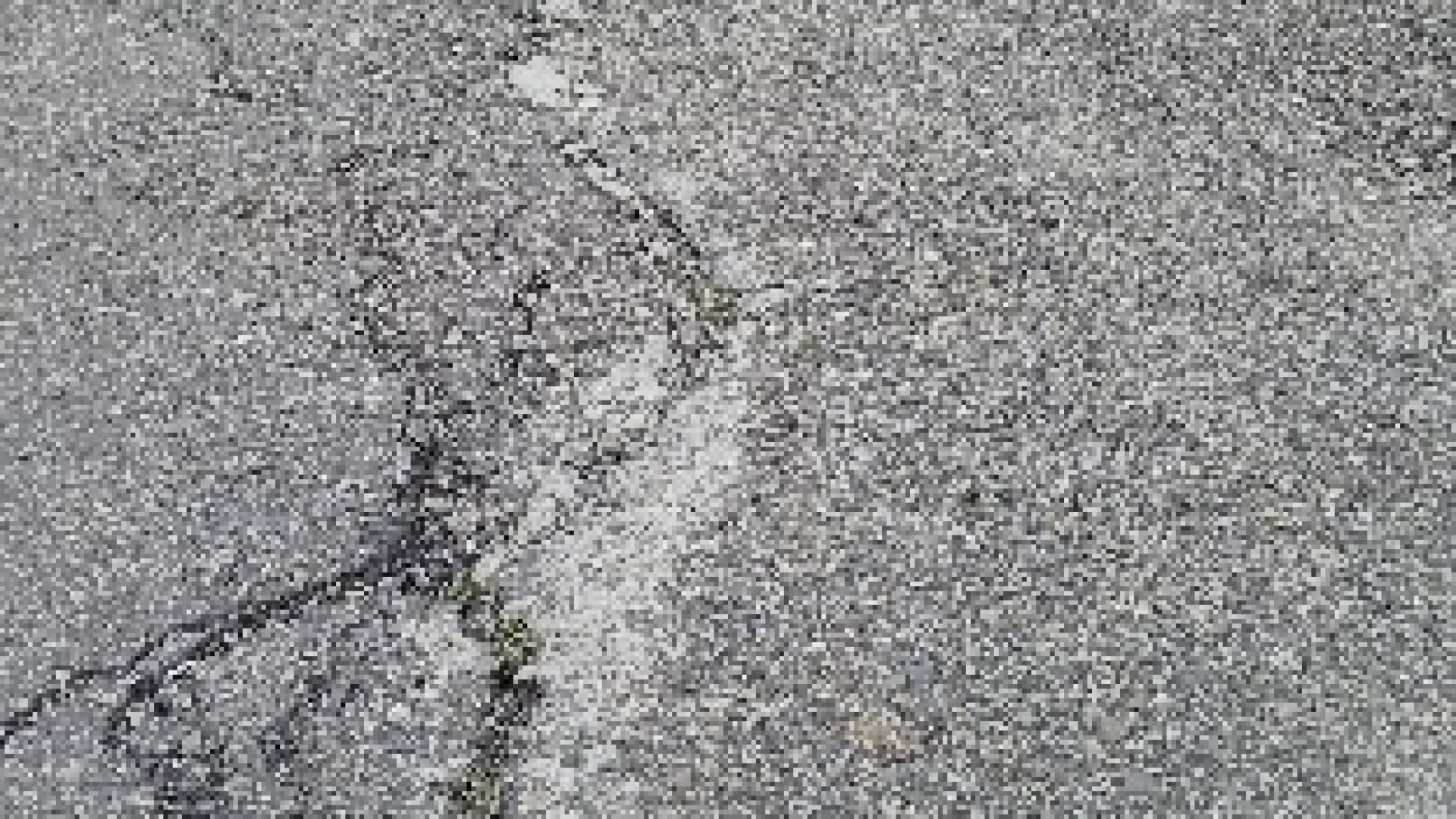 "Troppi camion, ci sono crepe nel muro": protesta in via Allende a Castel San Giovanni