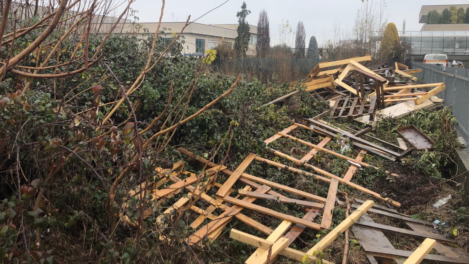 Tra le sterpaglie persino un frigorifero: "discarica" all'ingresso di Piacenza