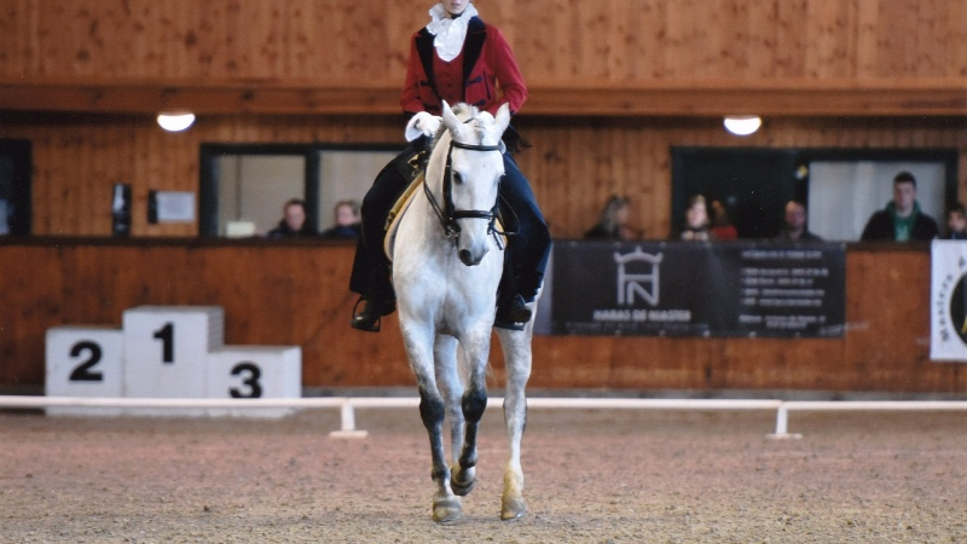 Dressage: in Belgio, bronzo europeo a squadre per la piacentina Gaia Ghilardi