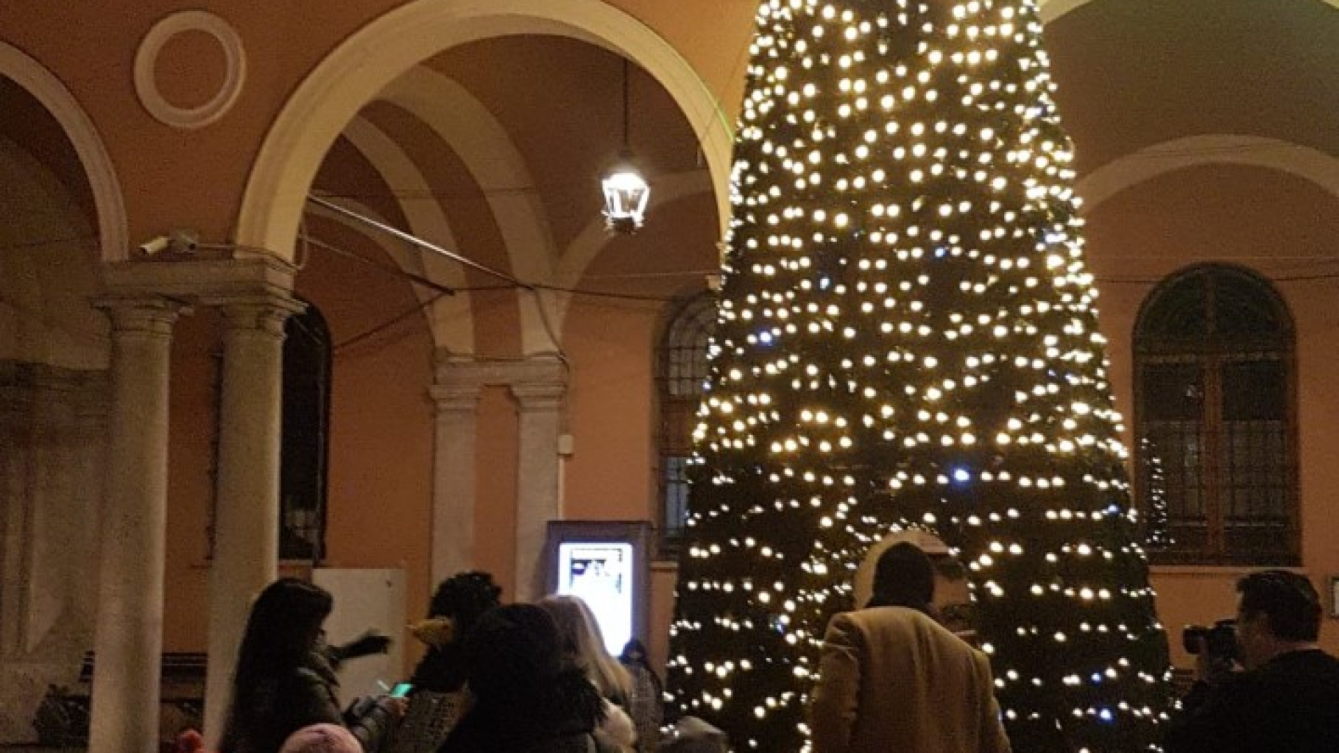 Albero acceso, l'orso e la famiglia di pinguini: a Castel San Giovanni è Natale