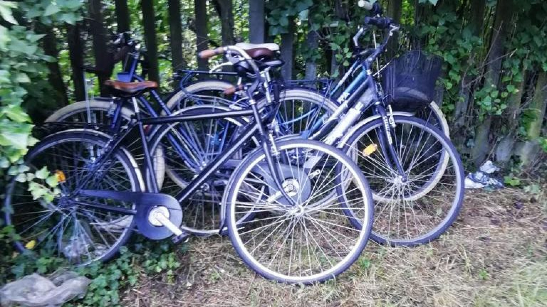"Al Bivio convivenza difficile tra vicinato e minori accolti". Controlli della polizia locale