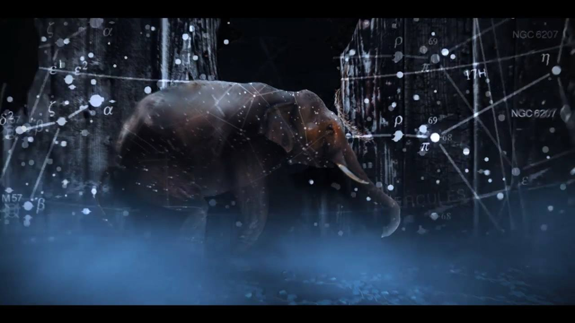 Concorto, al via la 13esima edizione; le proiezioni al Parco Raggio