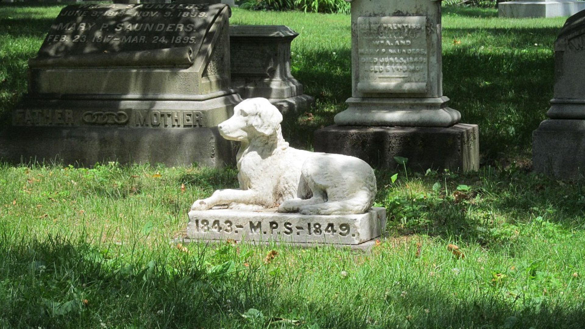 San Bonico, già raccolte 50 firme contro il cimitero per gli animali