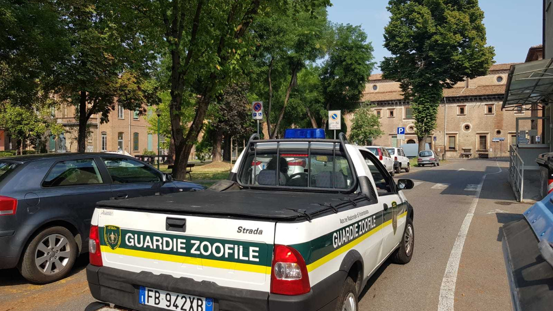 Corretta conduzione degli animali: guardie zoofile ai giardini dell'ospedale