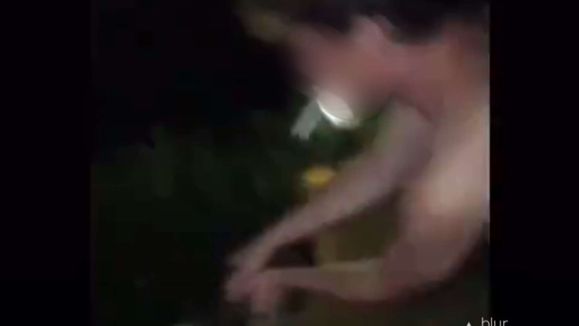 La nuova frontiera dei cacciatori di like su Instagram: il lancio del gattino