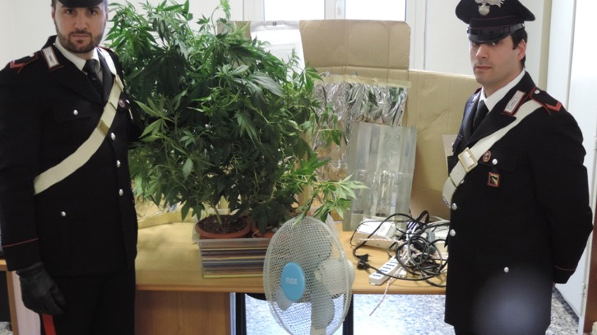 Coltivava marijuana in casa, 19enne denunciato a Rottofreno