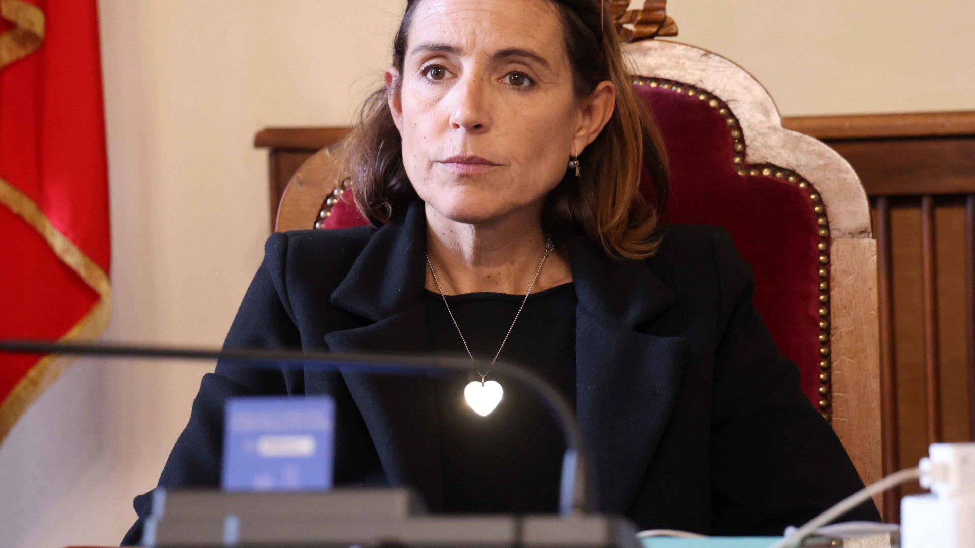 Circo, Tarasconi: “Norme da attualizzare, sfruttamento animali non più ammissibile"