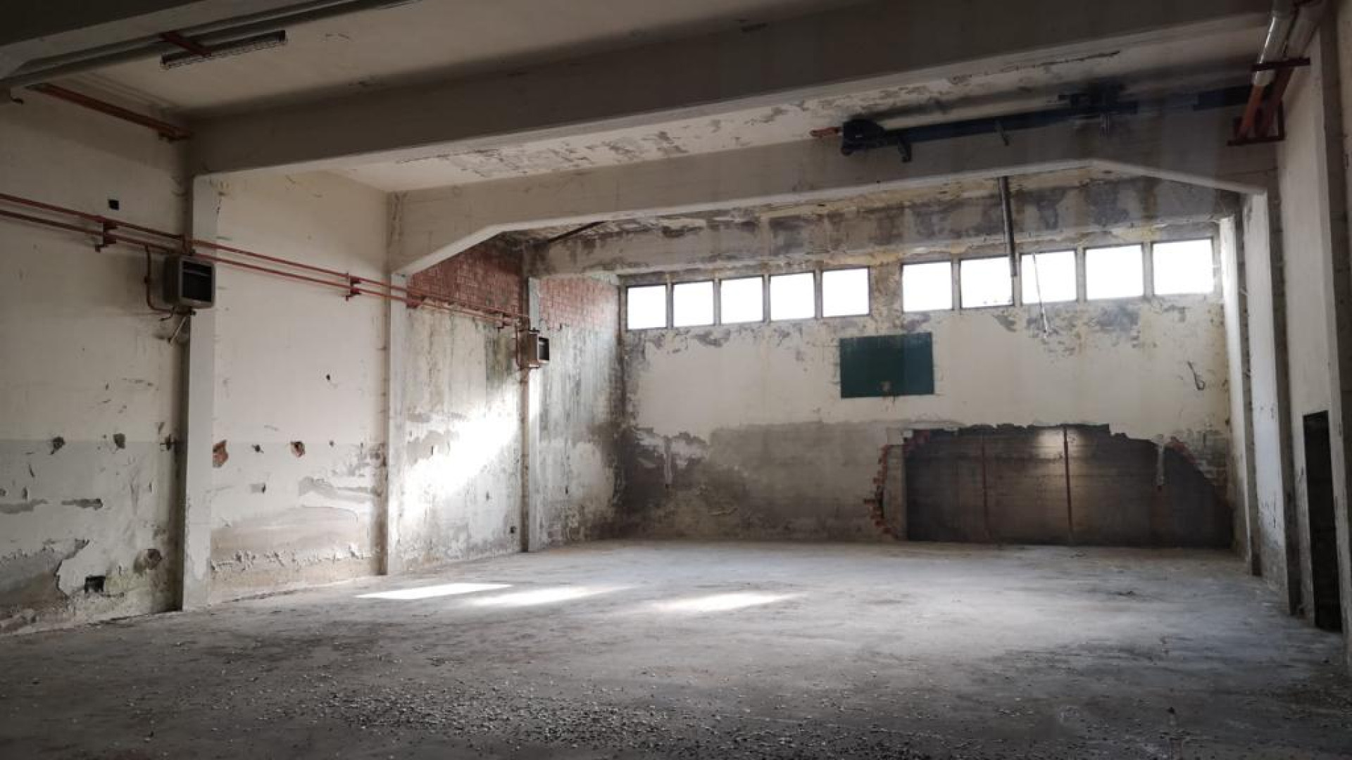"Nuove palestre scolastiche nel seminterrato di Asp": l'idea della giunta Tarasconi