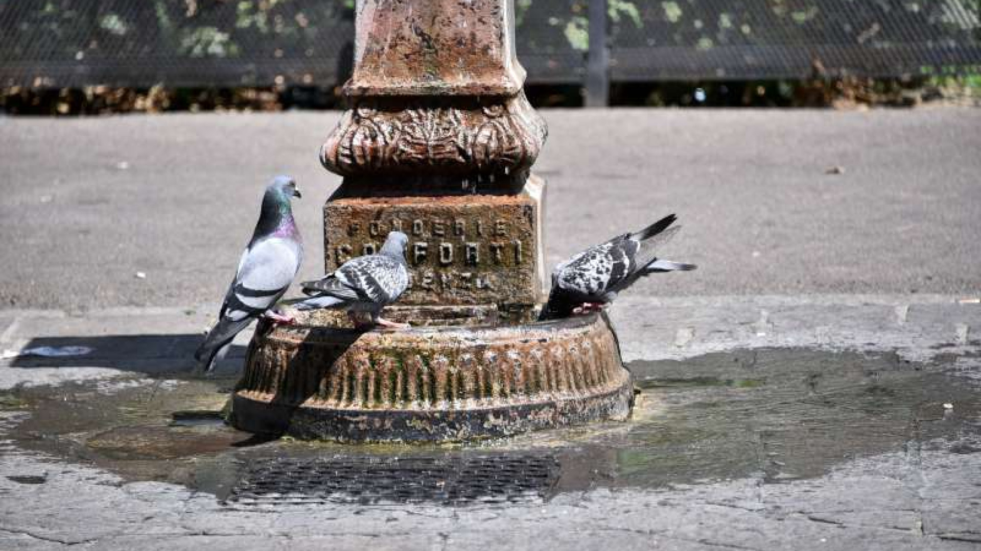 Oggi ultimo giorno di caldo anomalo con 36°, domani arriva la pioggia