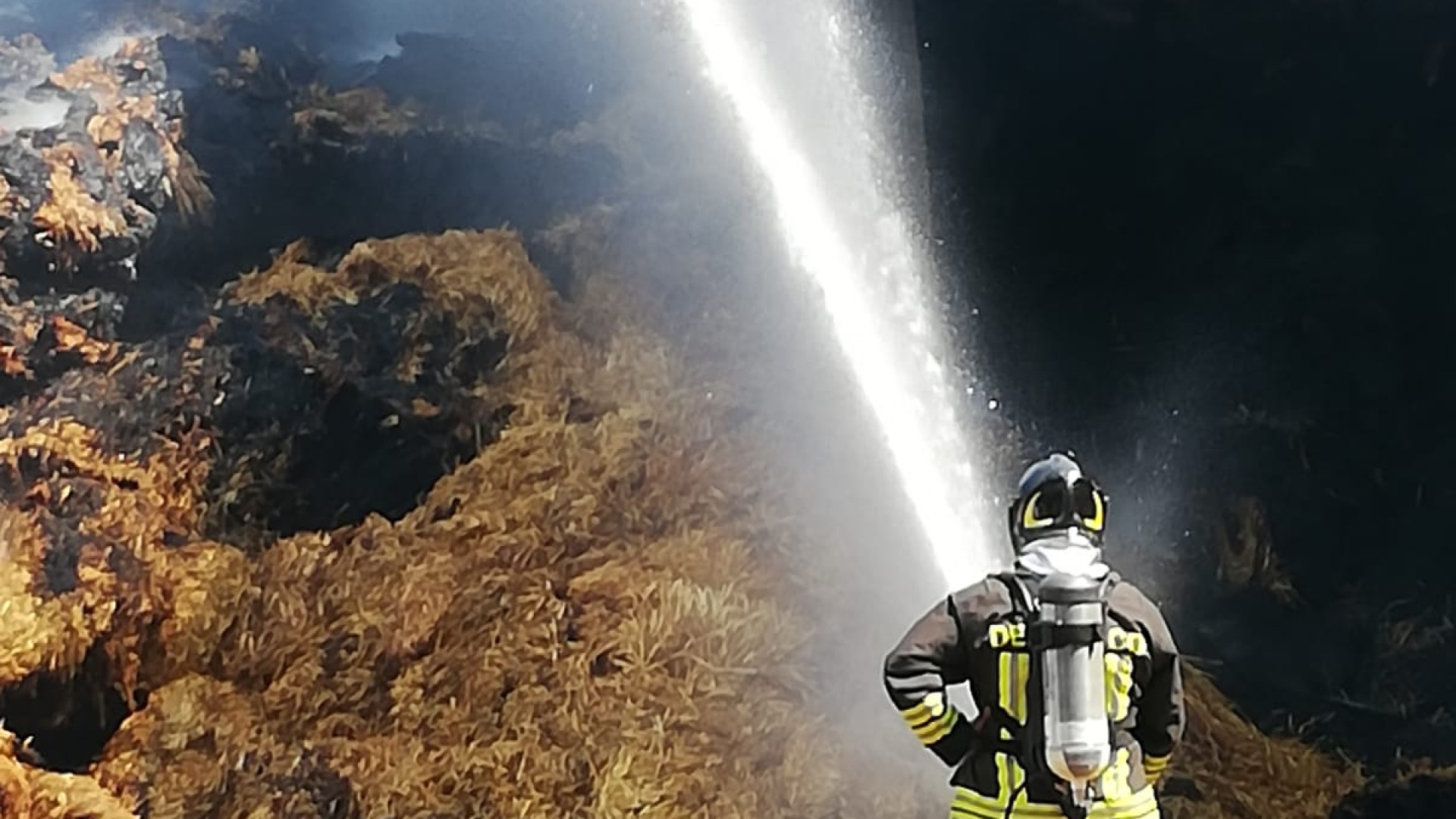Fiamme nella notte in azienda agricola, centinaia di rotoballe in fumo. Morti alcuni vitelli, crollato il capannone