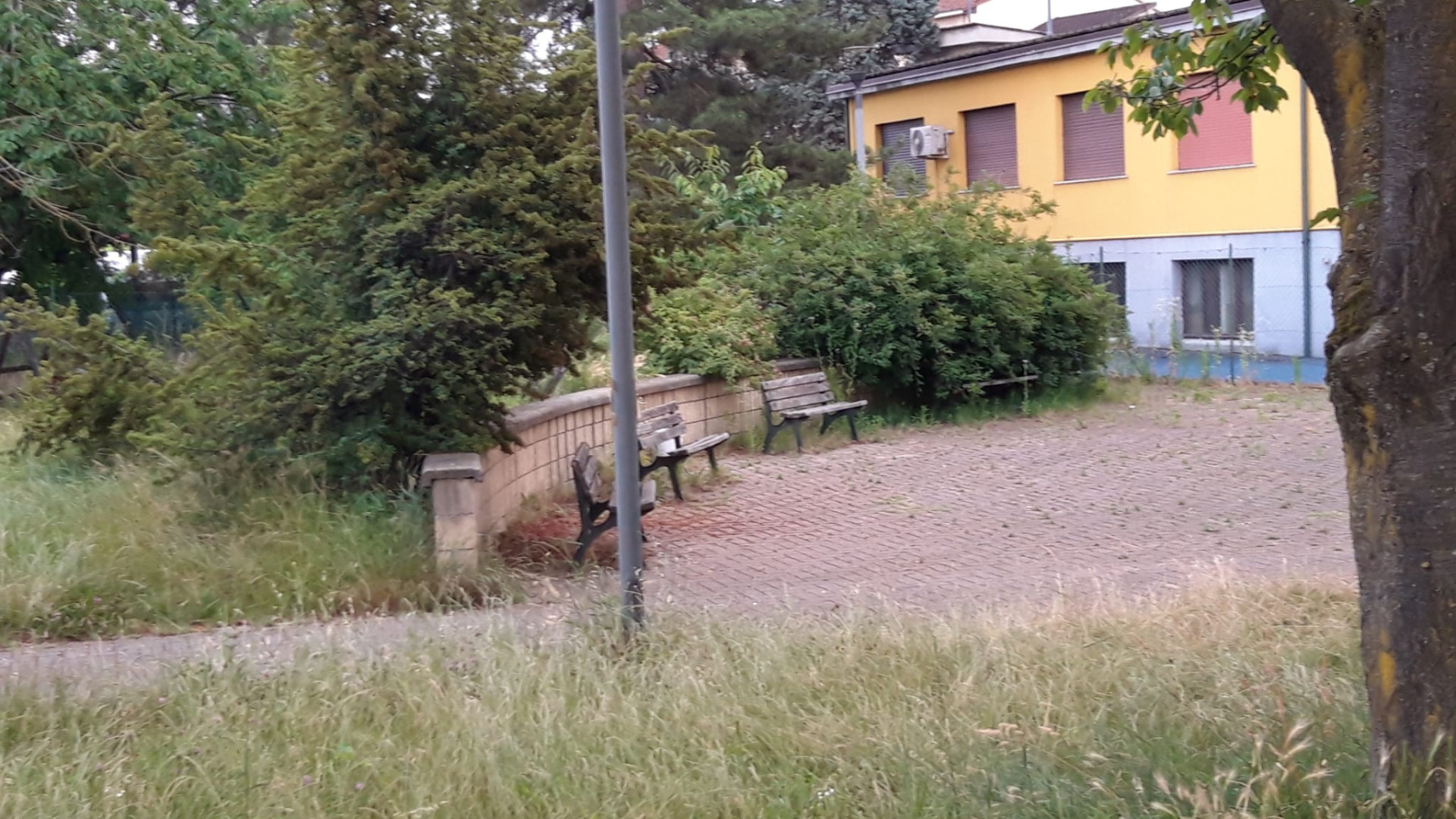 Borgotrebbia, i residenti lamentano: "Erba alta e panchina ricoperta dal verde"