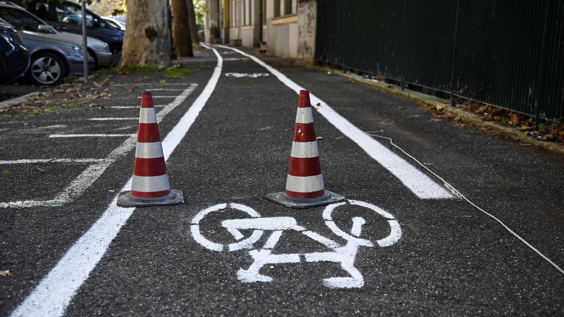 Dalla Regione 4 milioni per la mobilità dolce. In città una ciclabile unirà il centro al Po