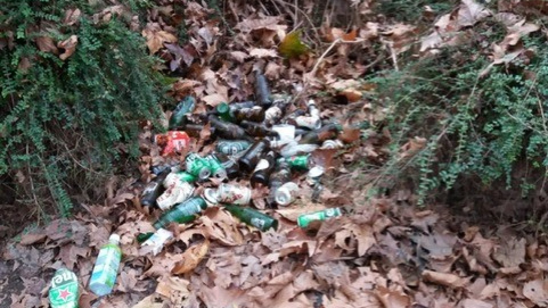 C'è il mercatino, ma i giardini Merluzzo sono sporchi: tocca agli organizzatori ripulirli