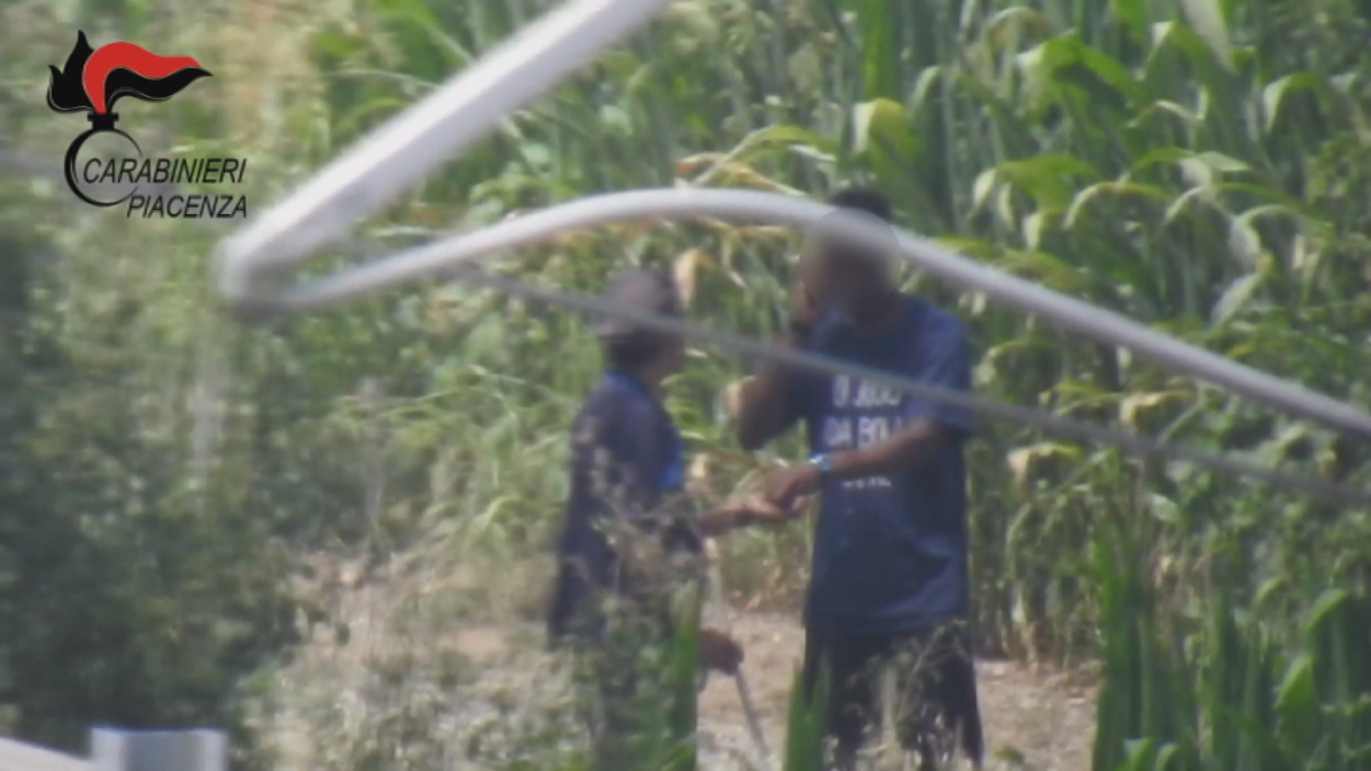Traffico di droga nel Piacentino: i video dello spaccio e degli arresti