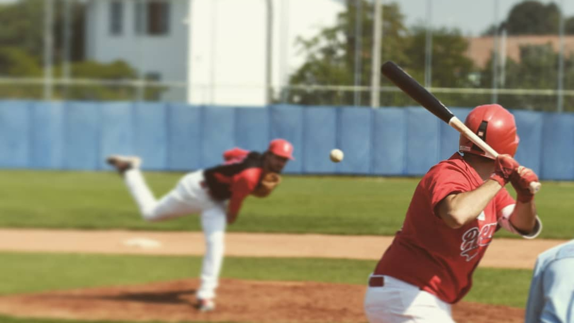 Ora è sicuro: il Piacenza Baseball prenderà parte al prossimo campionato di B