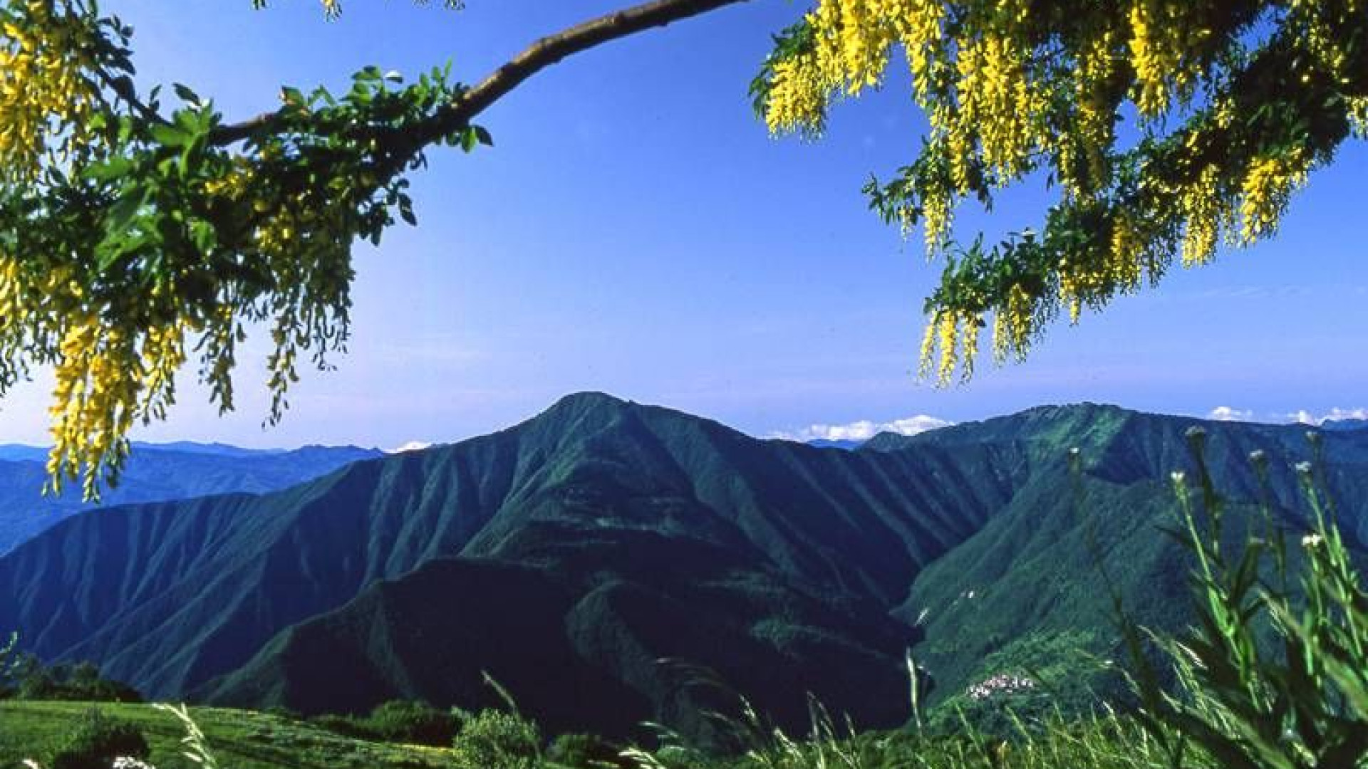 Provincia spaccata in due per Capodanno: caldo in montagna, freddo in pianura