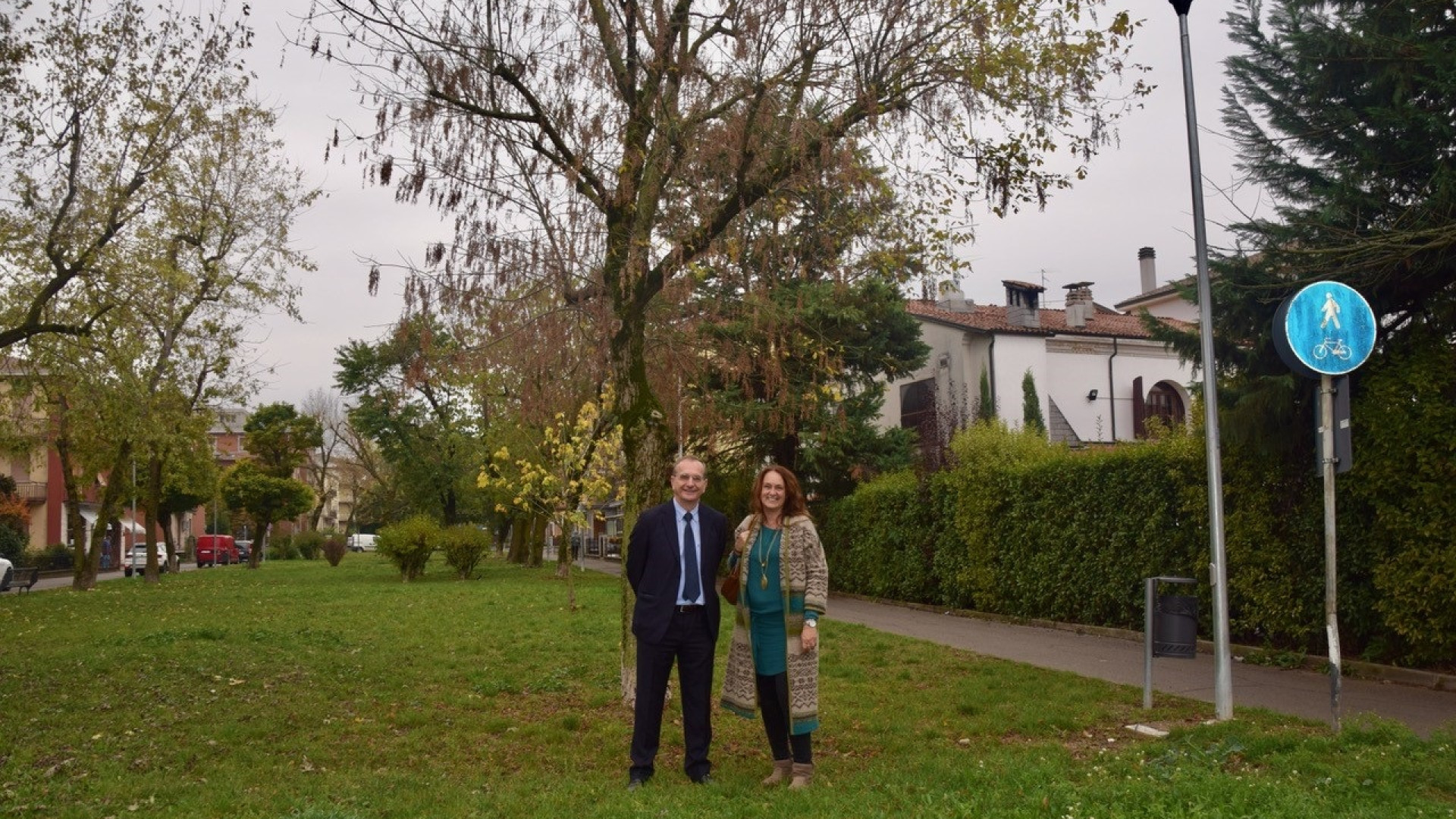 C’era una volta un bosco urbano a Fiorenzuola: oggi alberi dimezzati
