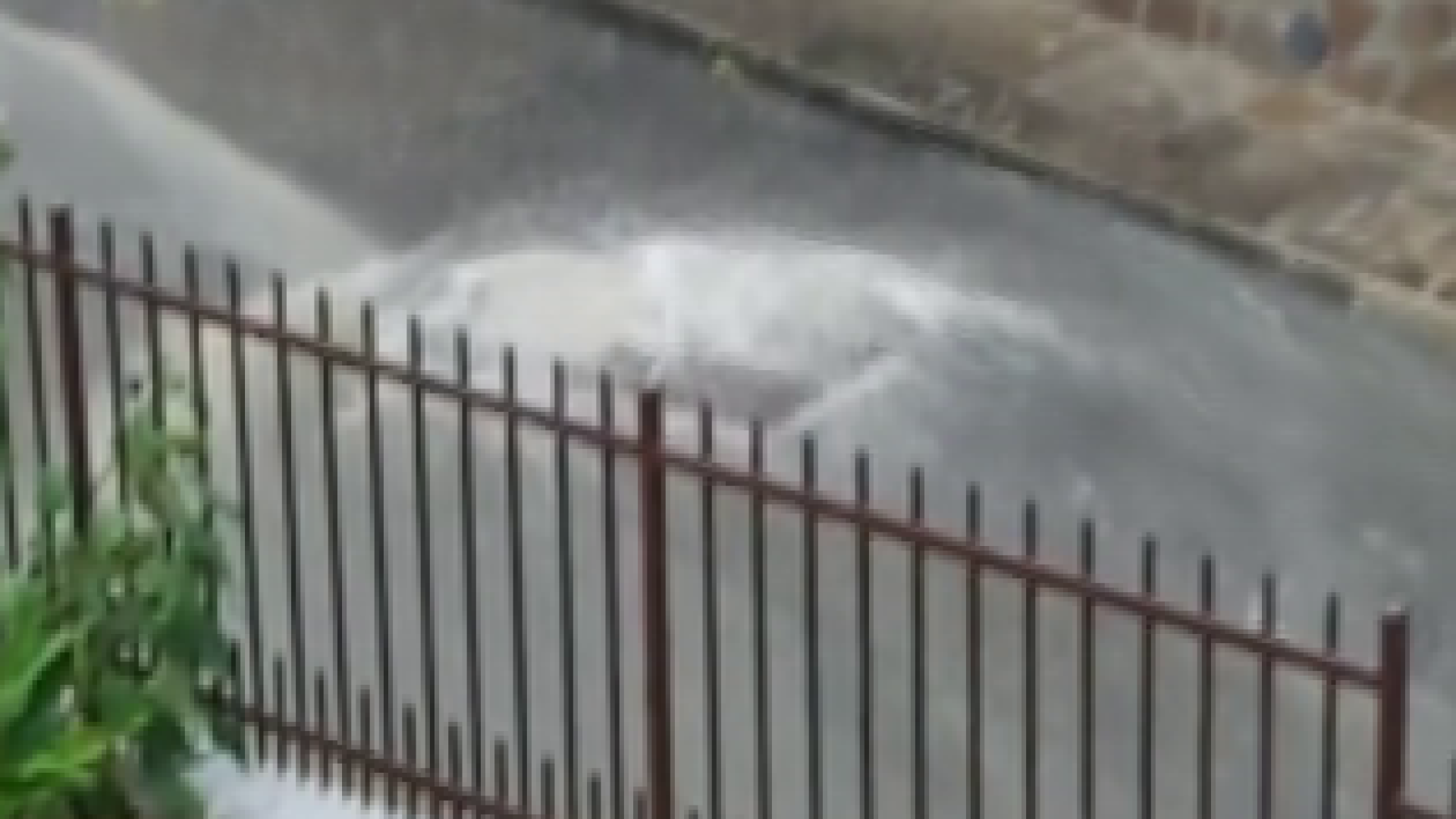 Strade allagate a Vernasca, | il maltempo travolge le zone dell'alta val d'Arda - VIDEO