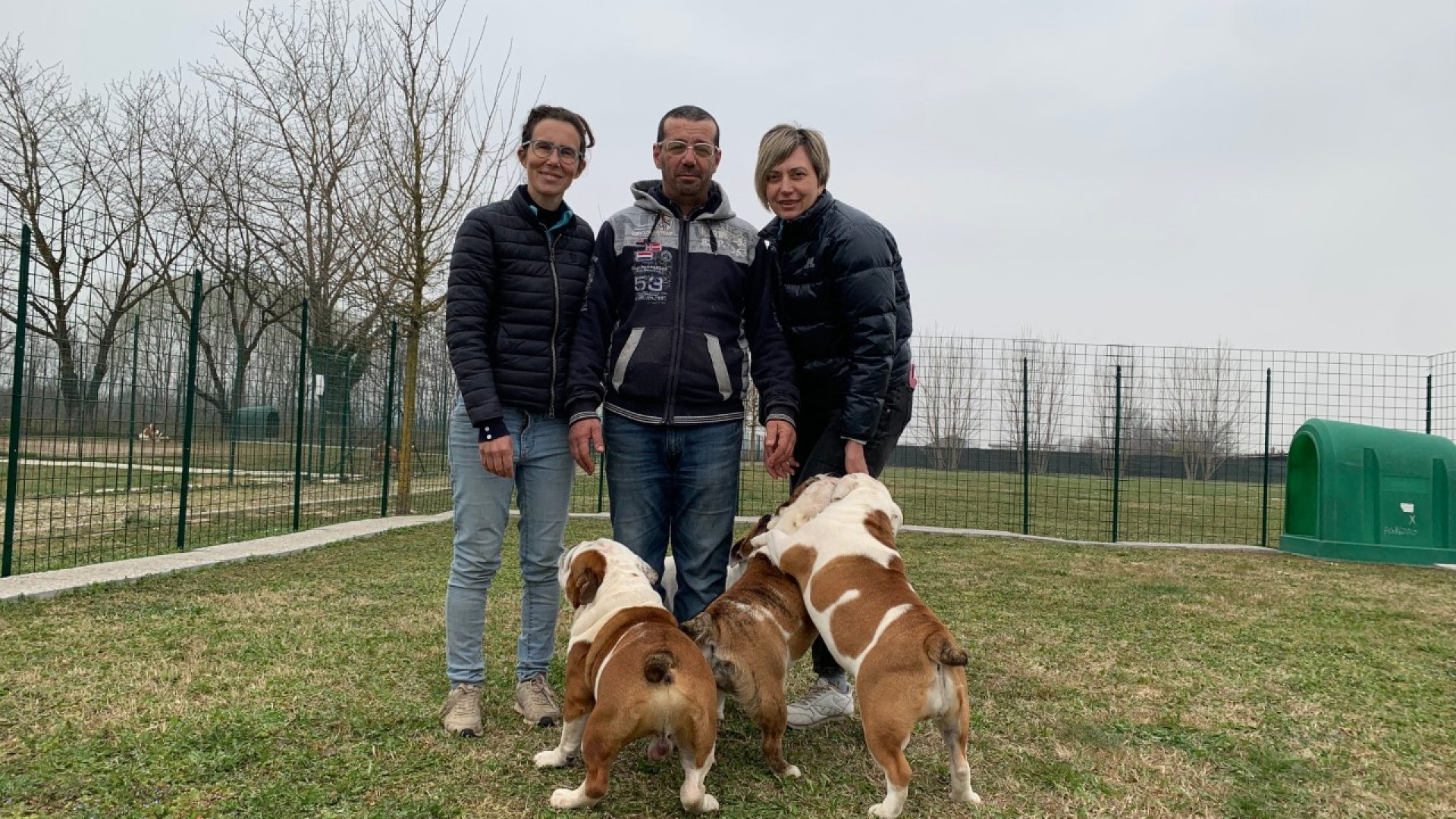 In fuga dall'Ucraina con 20 bulldog: Elena trova rifugio da una coppia di allevatori