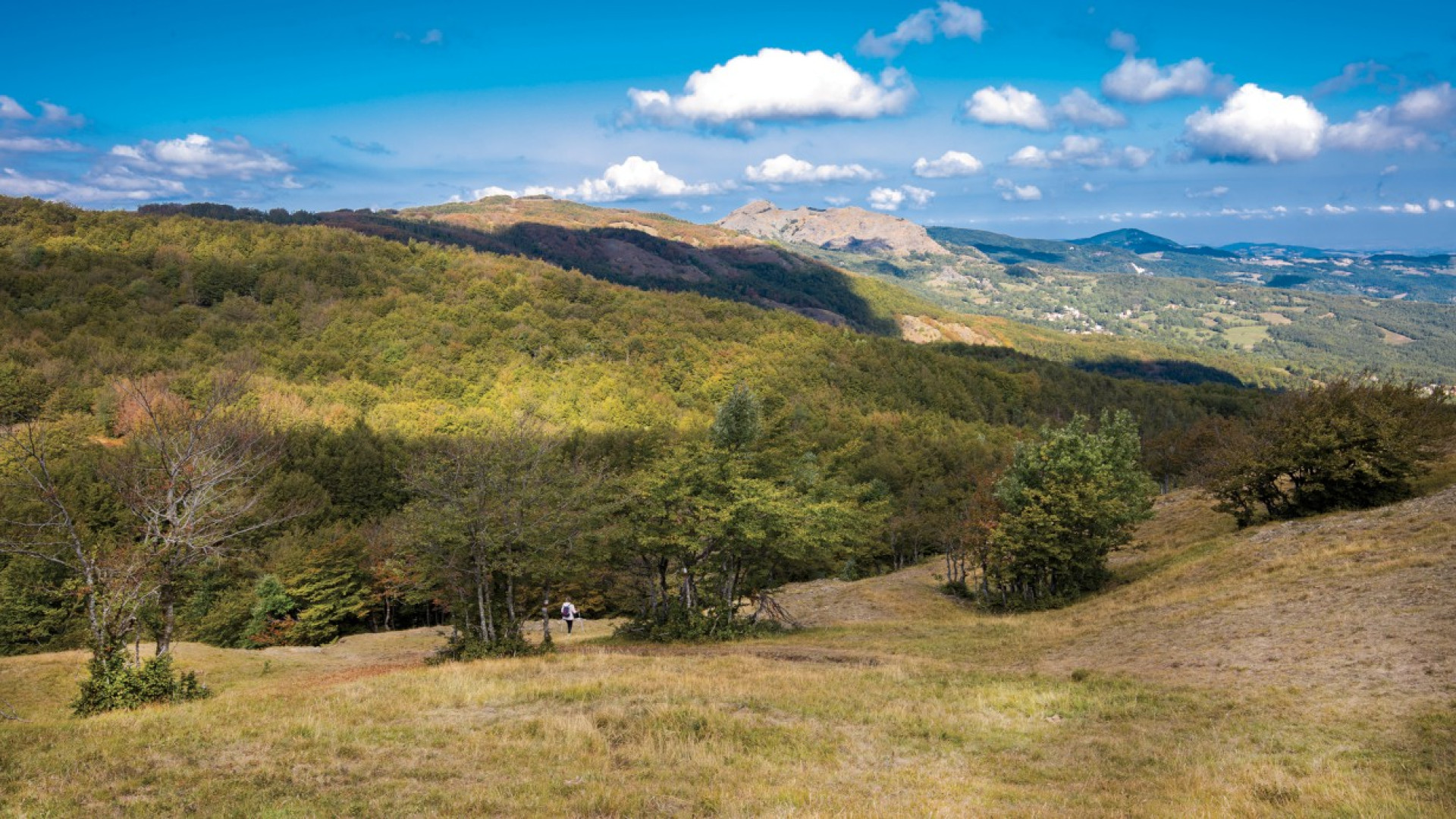Sentieri di storia e paesaggio. In edicola con Libertà “La Valle dell’Arda” di Sergio Efosi