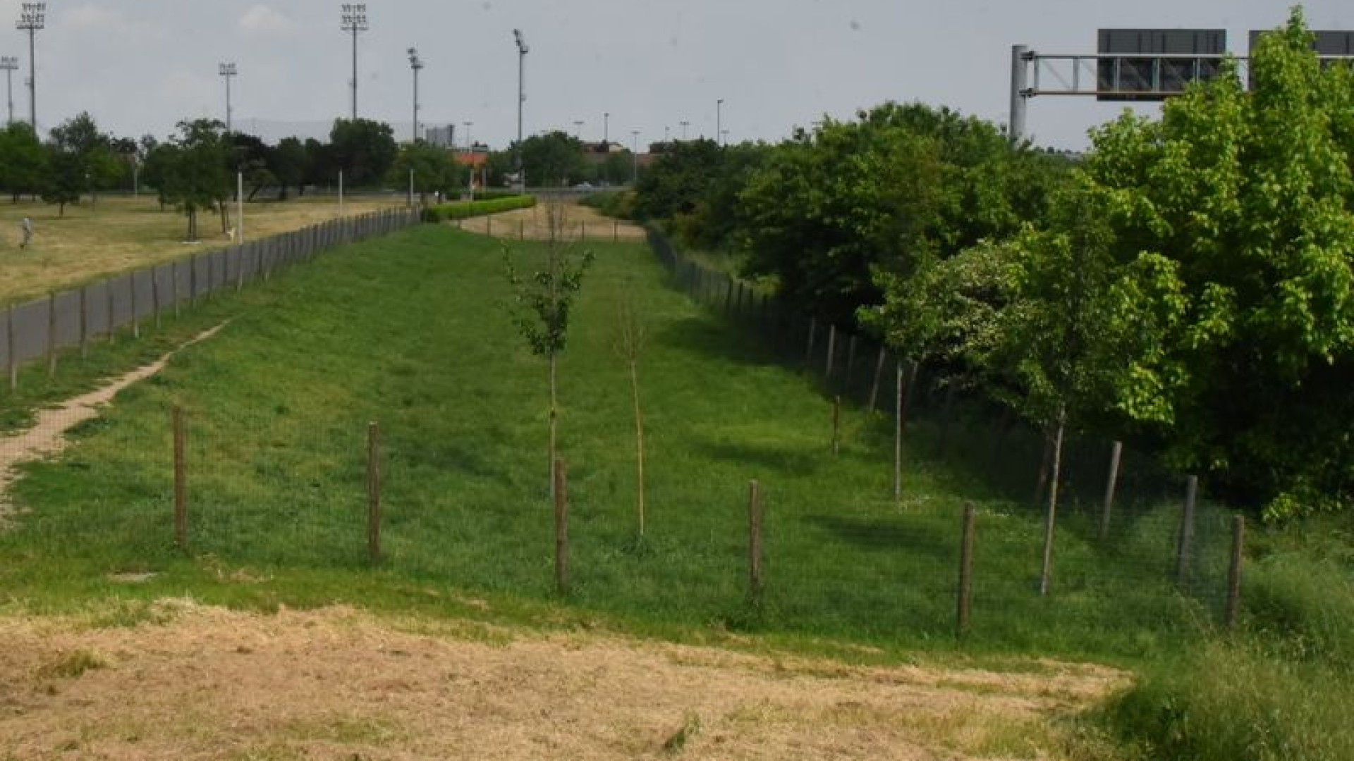 Cane morto nell'area di sgambamento: ucciso o avvelenato, a giorni la verità sulle cause