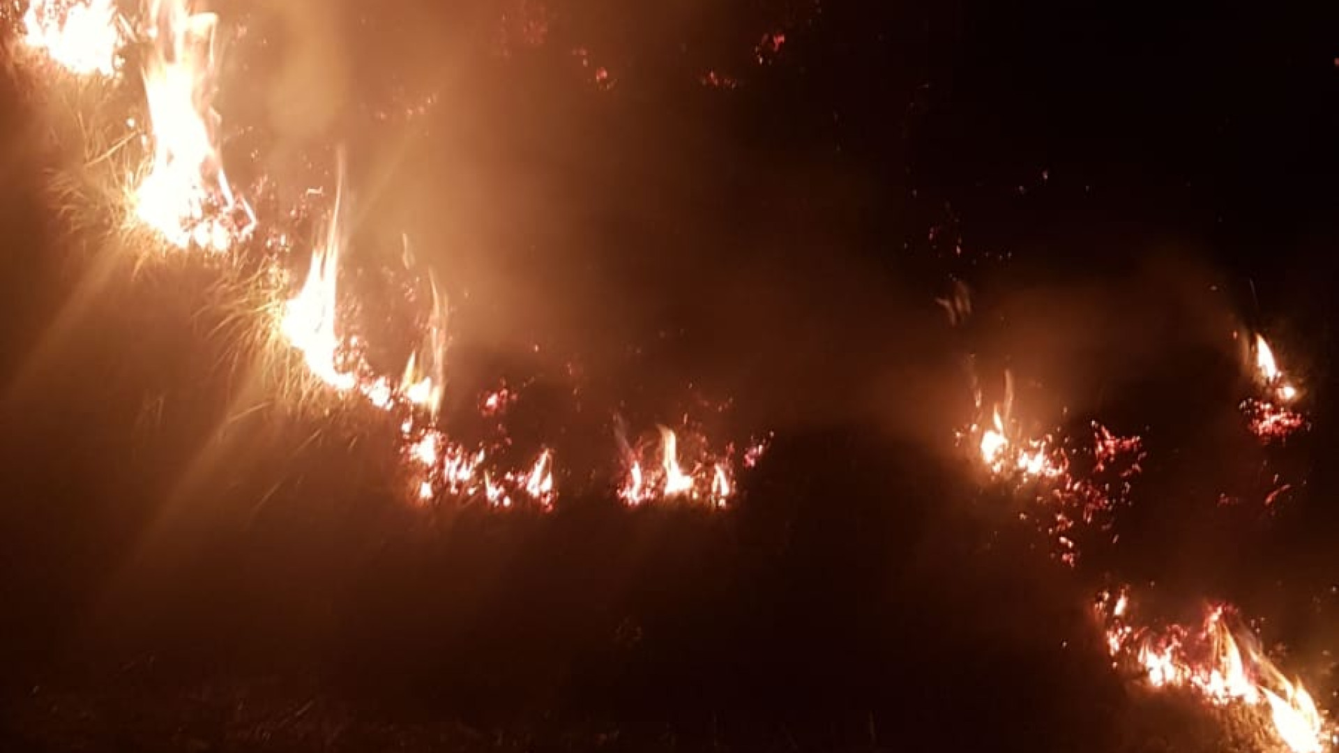 Vento e siccità, divampa un altro incendio boschivo. FOTO