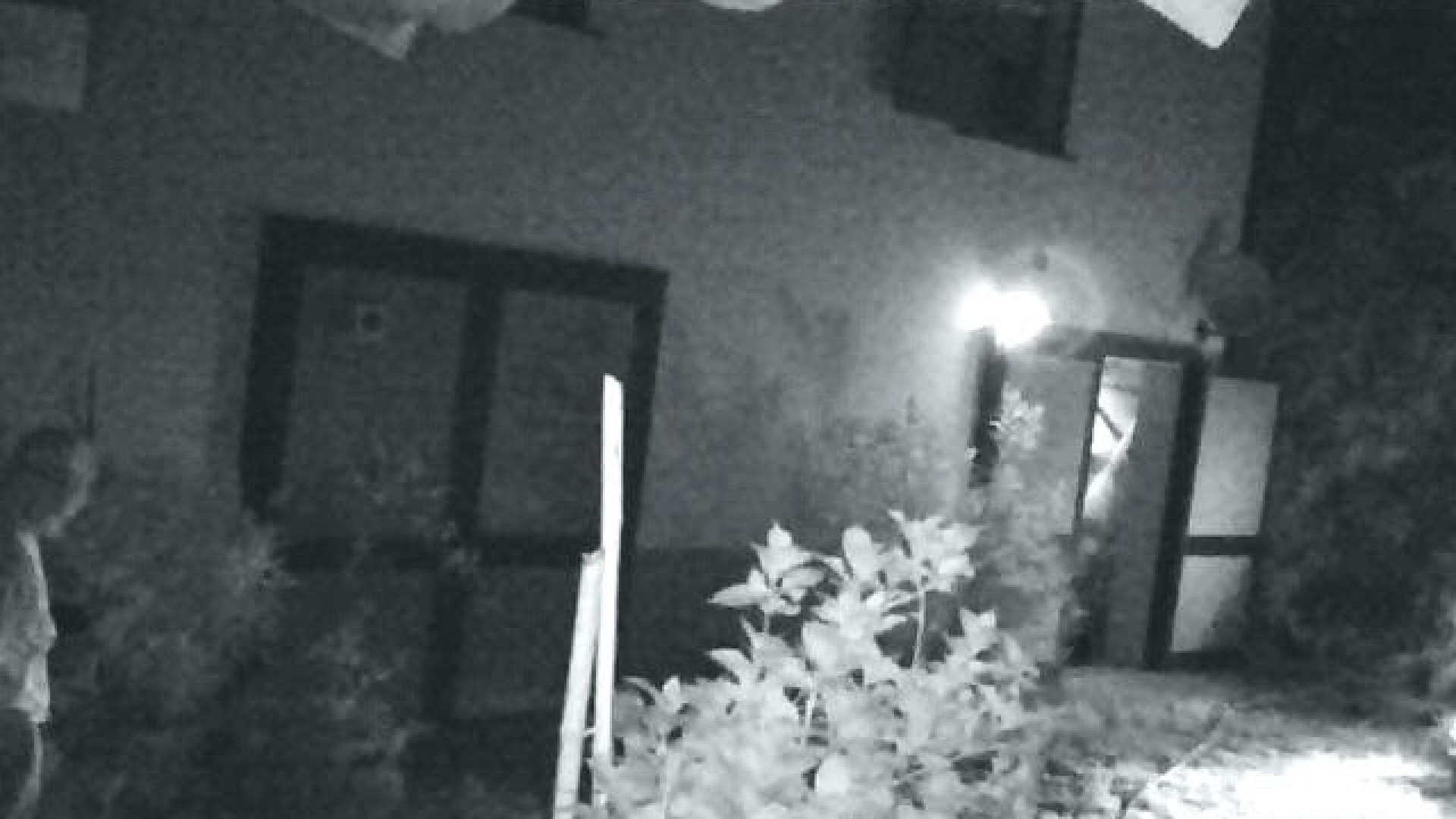 Bacedasco: dopo i raid di Pasquetta, la banda del trapano colpisce ancora