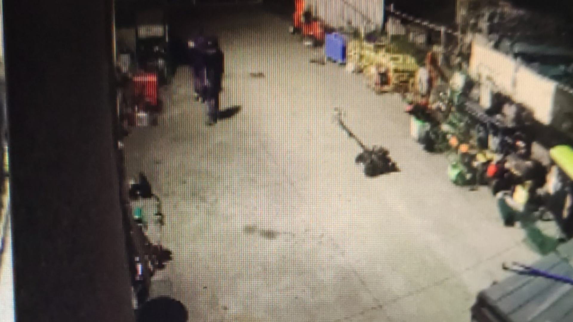 Sarmato, fallisce il colpo al negozio di giardinaggio. Ladri in fuga nei campi