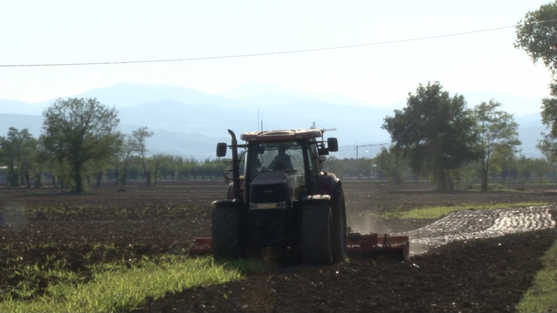 Green pass, da domani anche in agricoltura. "Obbligo assurdo sui campi all'aperto"