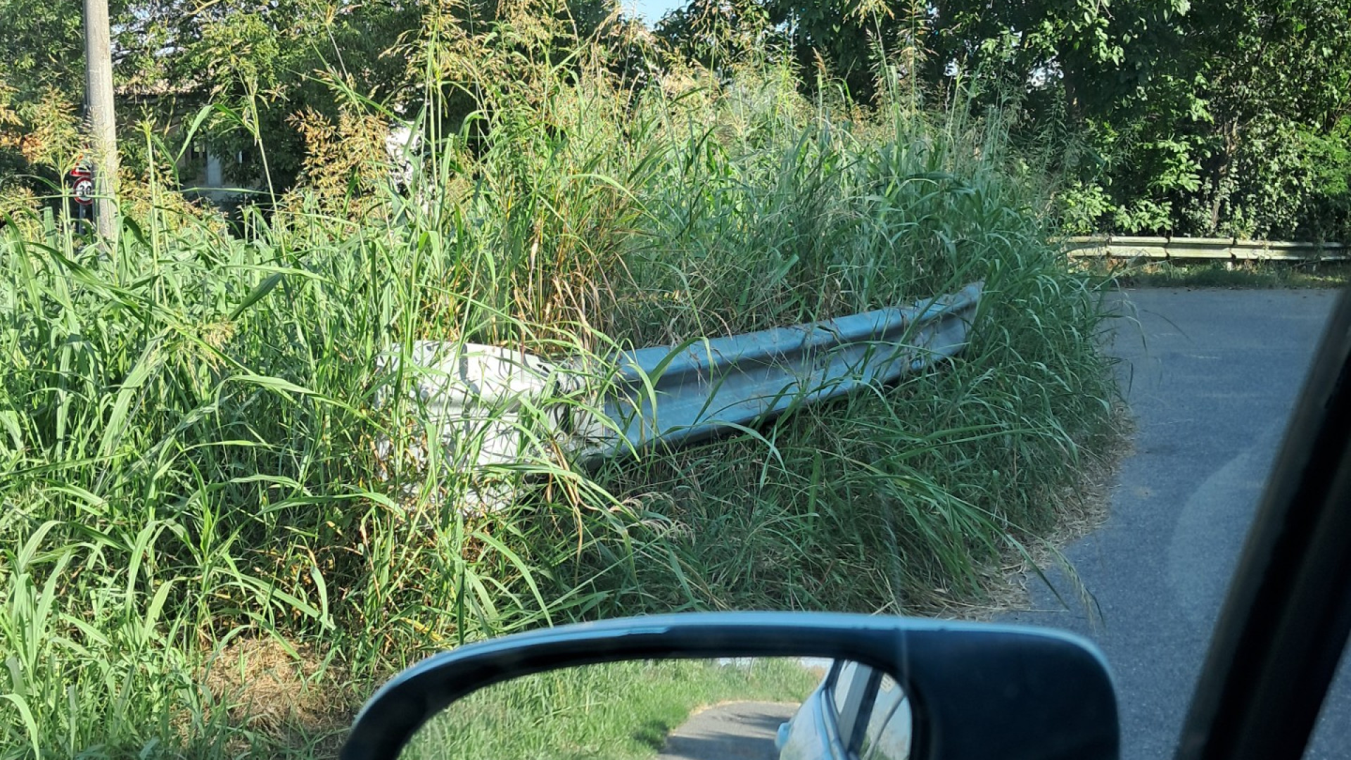 Verde invade alcune zone della città, residenti chiedono un intervento