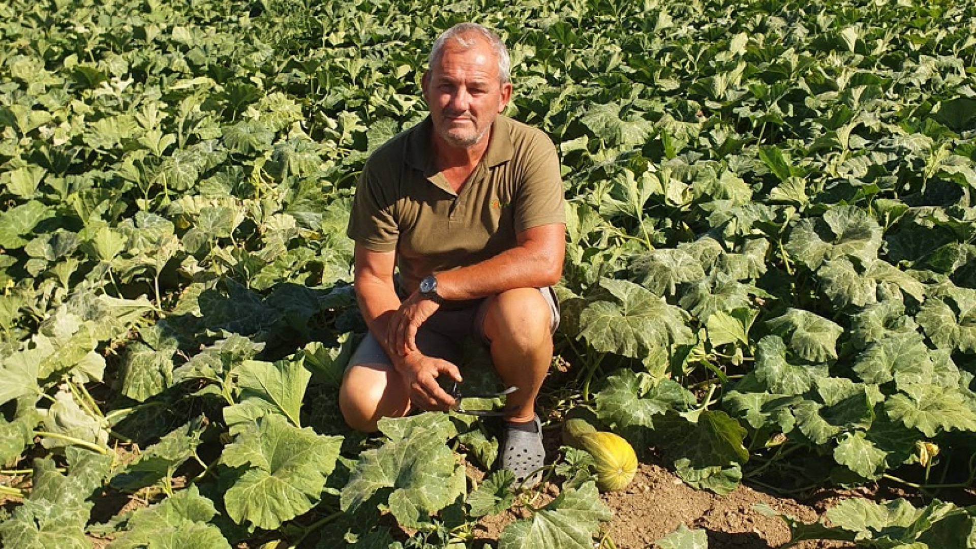 Siccità, l'agricoltore Repetti: "Emergenza cronica. Spesi 95mila euro per un pozzo"