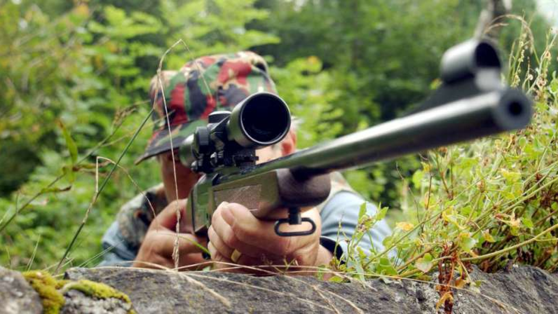 Uccidono una lepre sulle colline di Carpaneto: due bracconieri denunciati