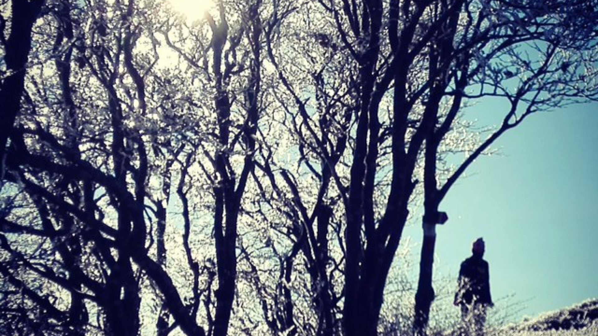 Wolf Winter Weekend, è in arrivo un fine settimana da Lupi