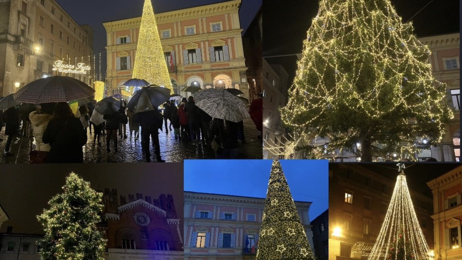 Da "stortello" al cono di luci. Ecco l'ironia dei piacentini sugli alberi di Natale