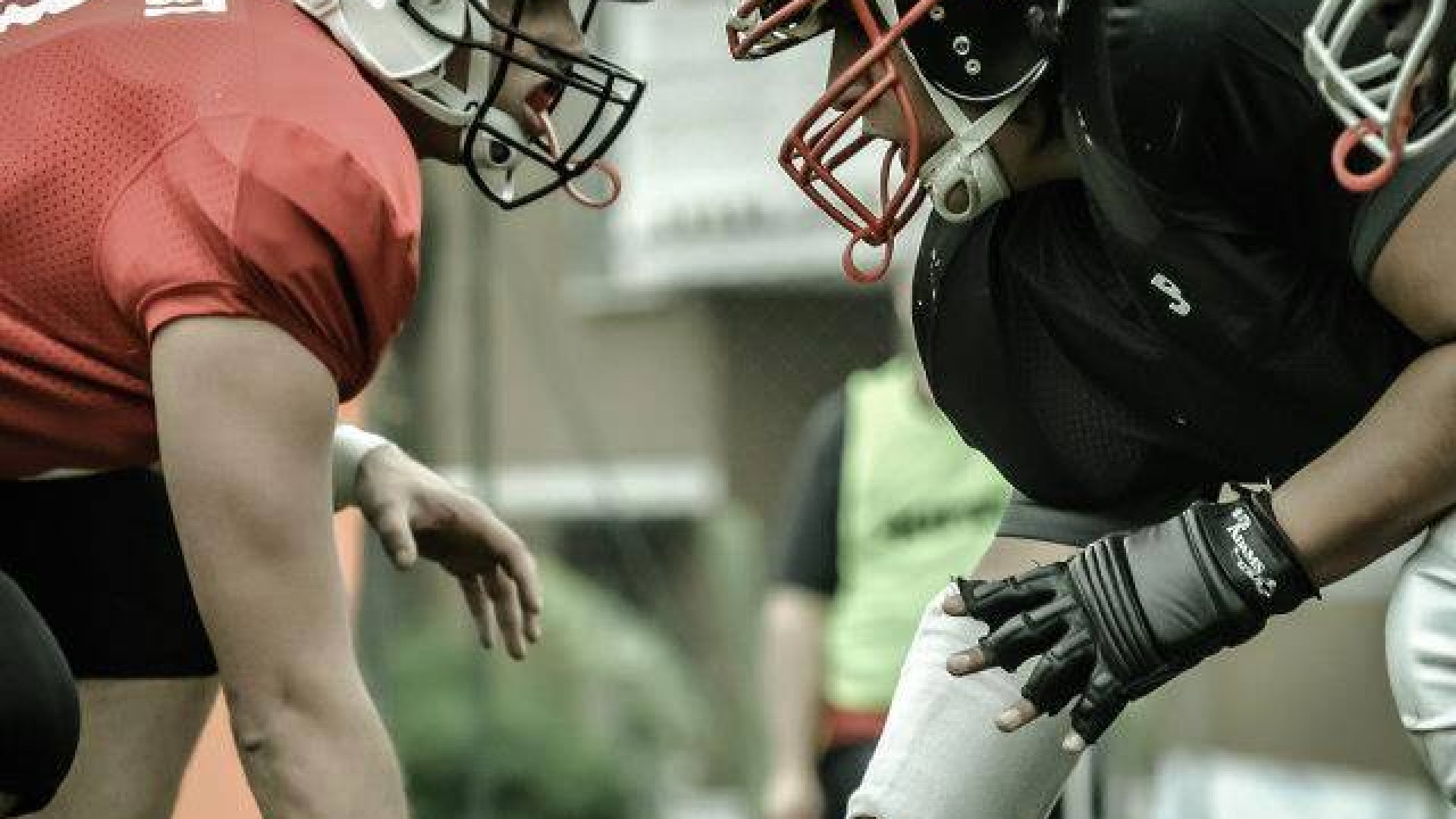 Football americano: in attesa dei play off, porte aperte in casa Wolverines