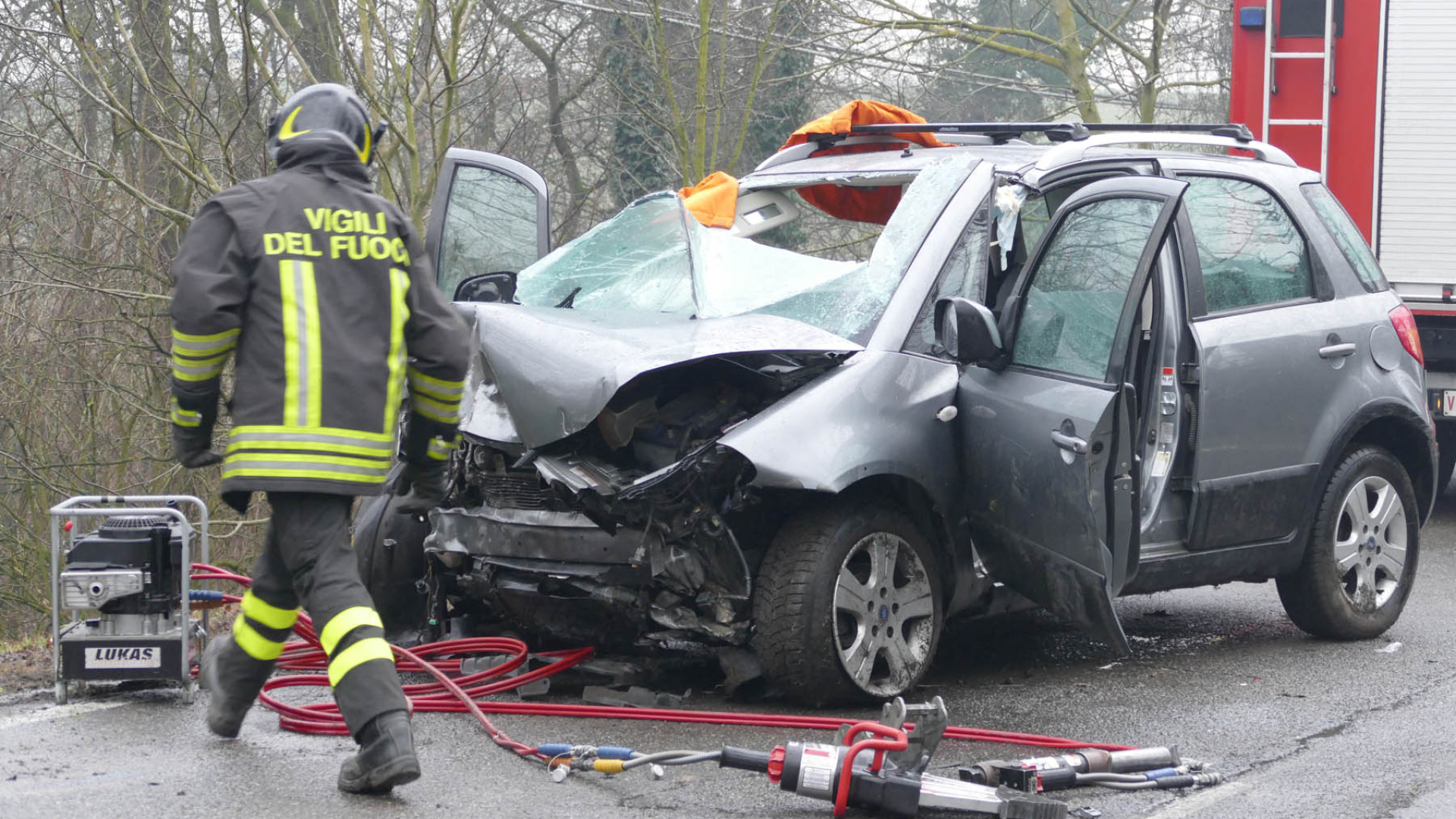 Cinghiali, Coldiretti: "A Ziano lo scorso anno 20 richieste di abbattimento"