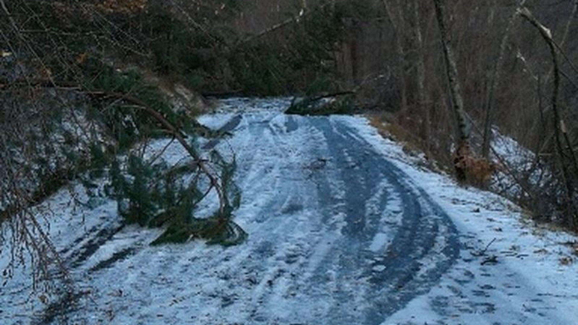 Dopo l’assaggio di primavera, freddo e gelo in arrivo: allerta meteo nel Piacentino