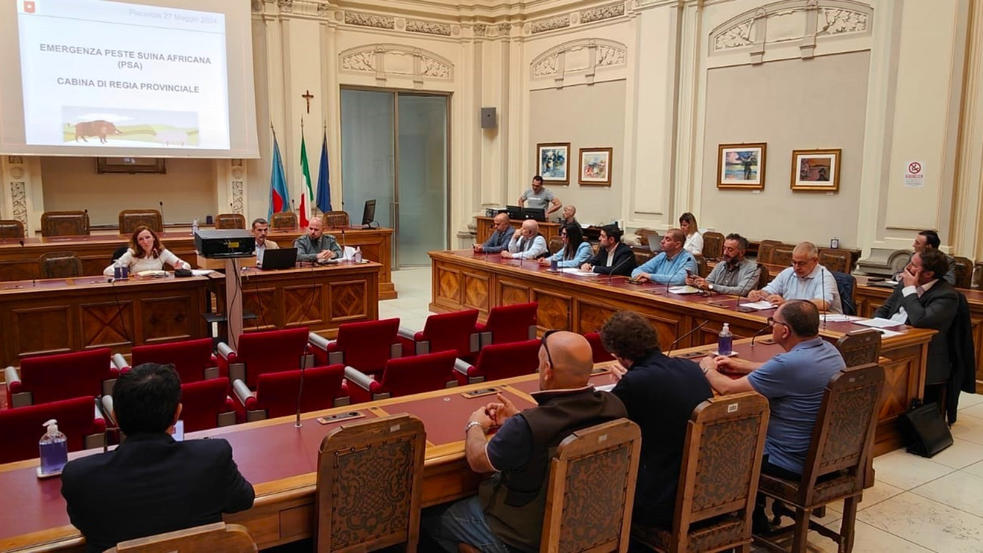Peste suina a Piacenza, |piani di controllo cinghiali: abbattuti 163 capi