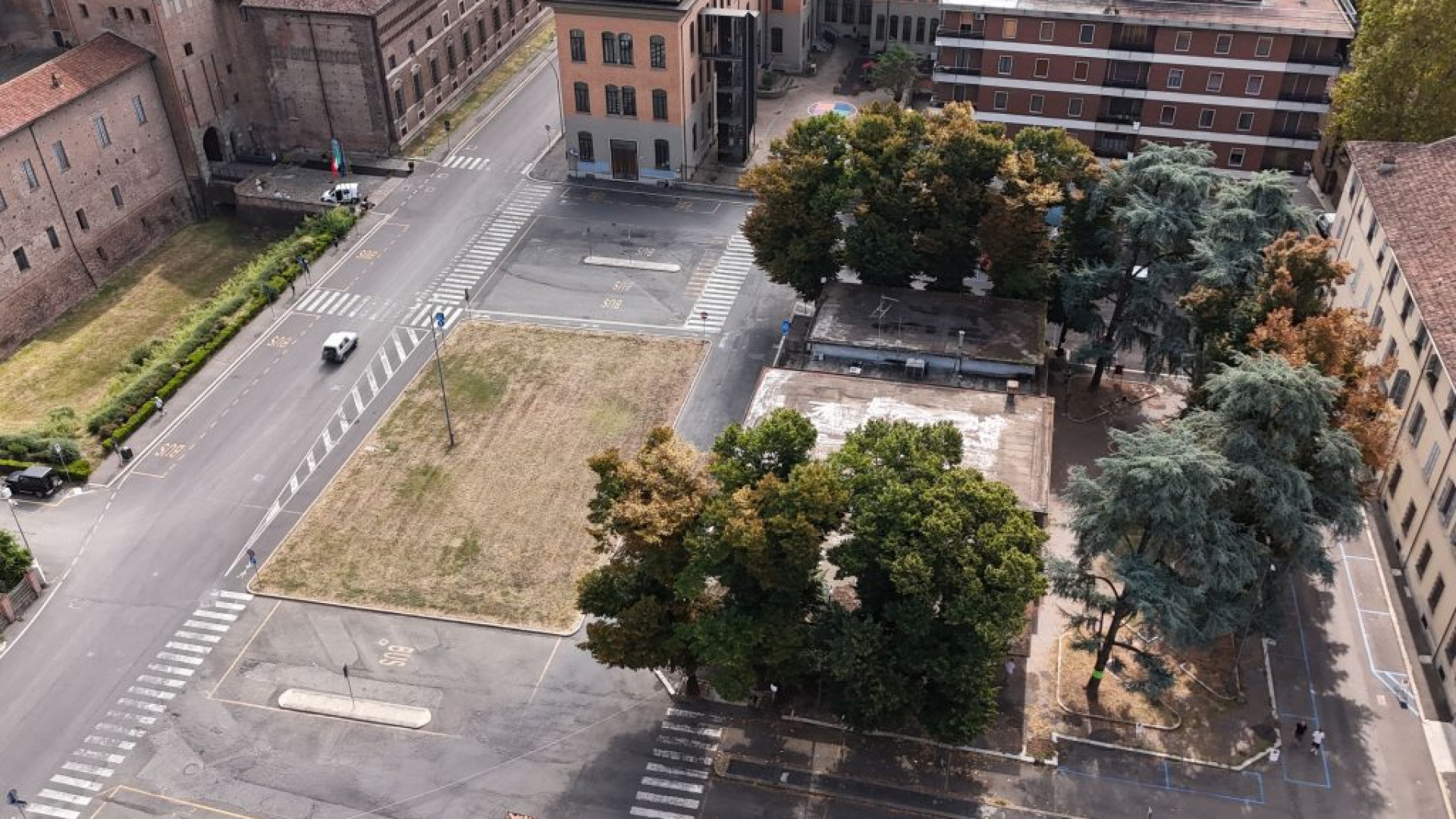 Ricorso contro l'abbattimento delle piante in Cittadella: domani l'udienza