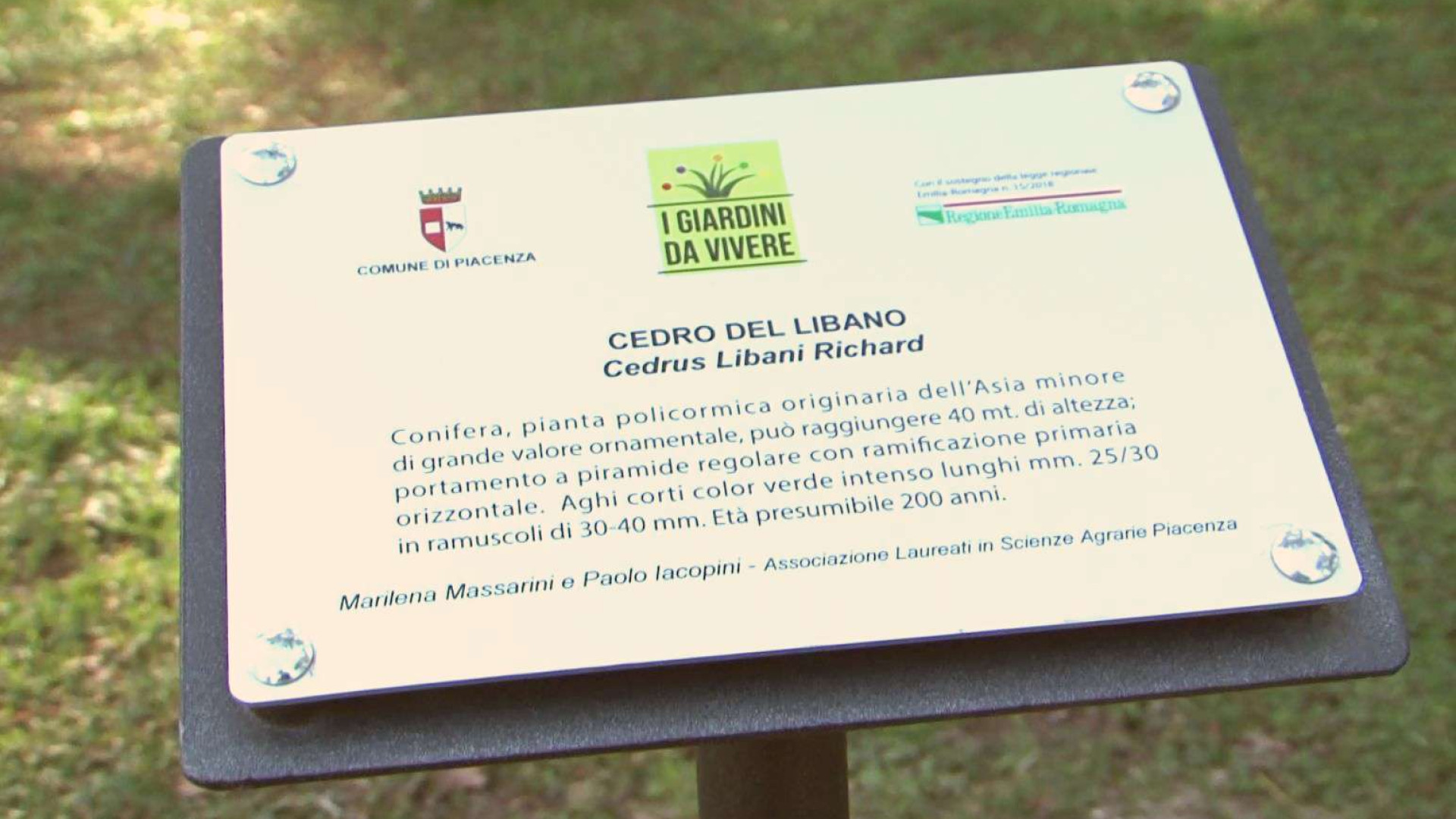 Storia e informazioni sugli alberi, installate le schede ai giardini Margherita