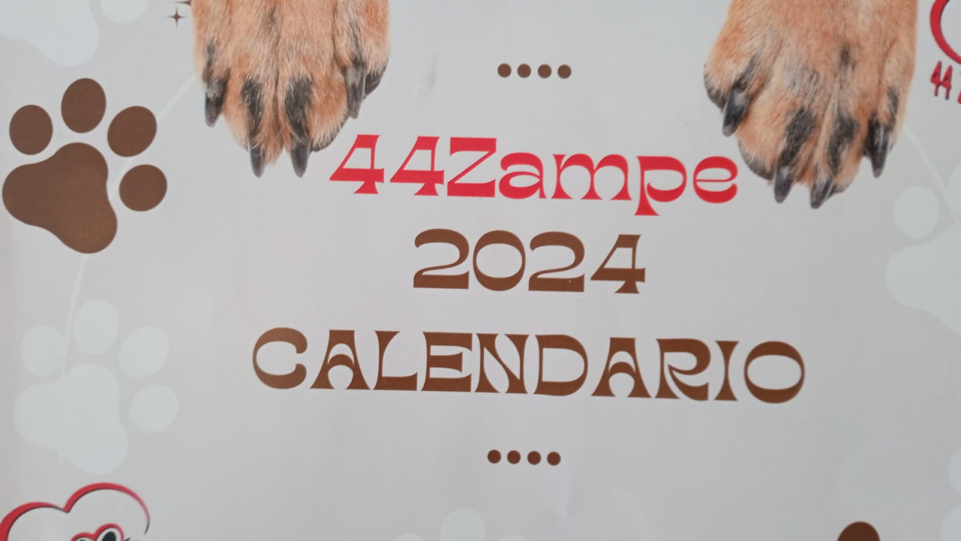A Castel San Giovanni un calendario per aiutare gli animali