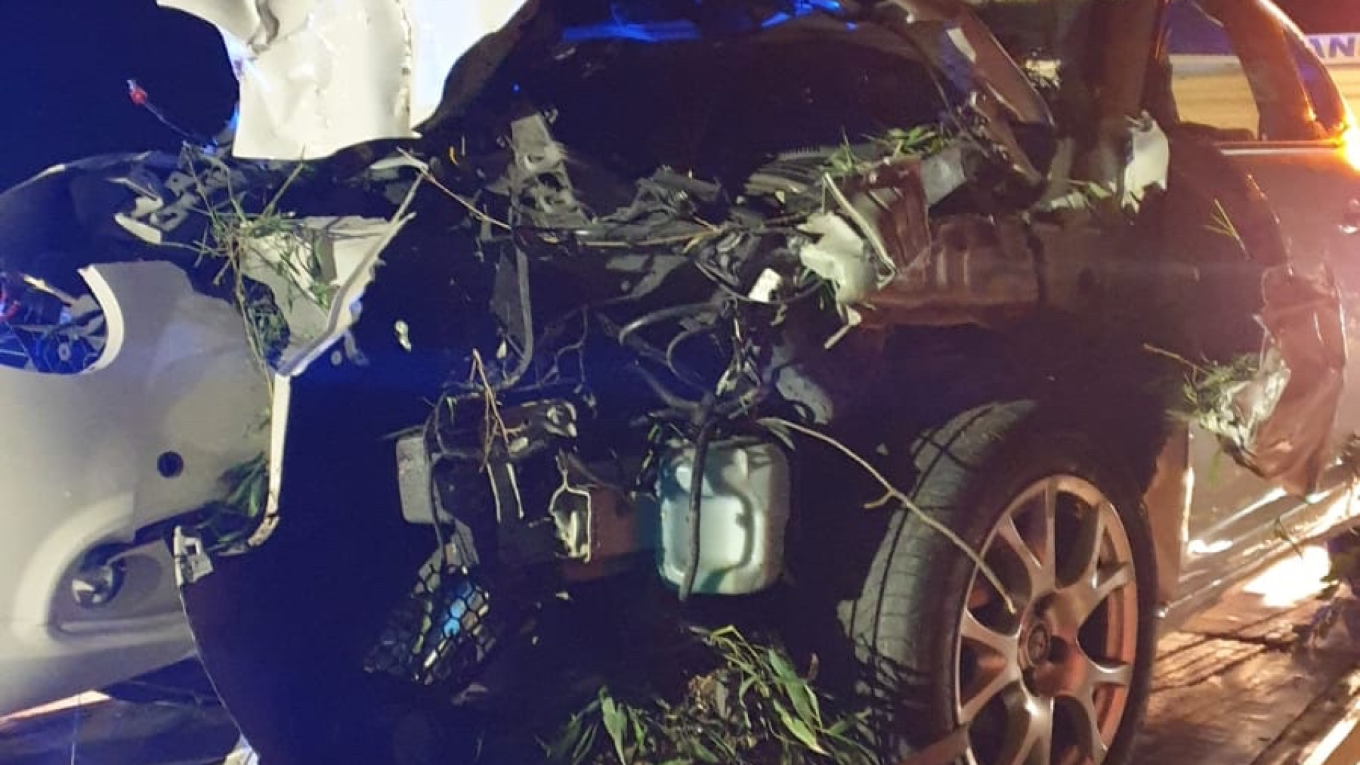 Sbanda con l’auto e si schianta nella notte contro un albero