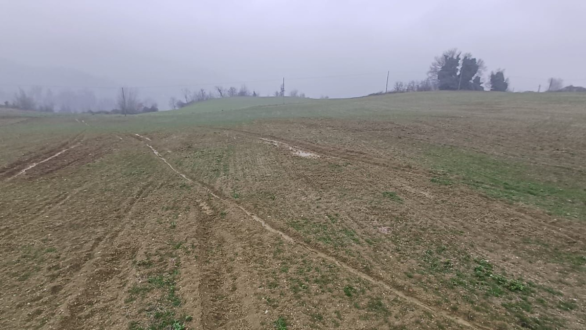 Confagricoltura Piacenza: "Una stagione agraria battezzata dalla pioggia"