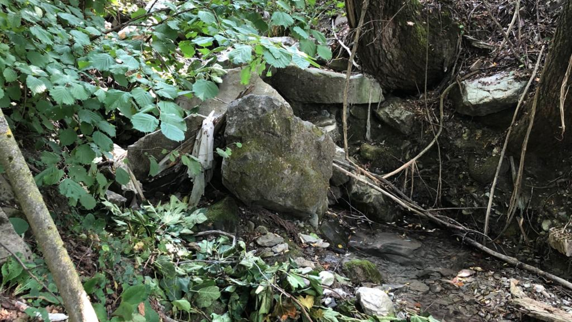 "Abbiamo visto un uomo di notte nel bosco, con lo zaino". La testimonianza di alcuni ragazzi