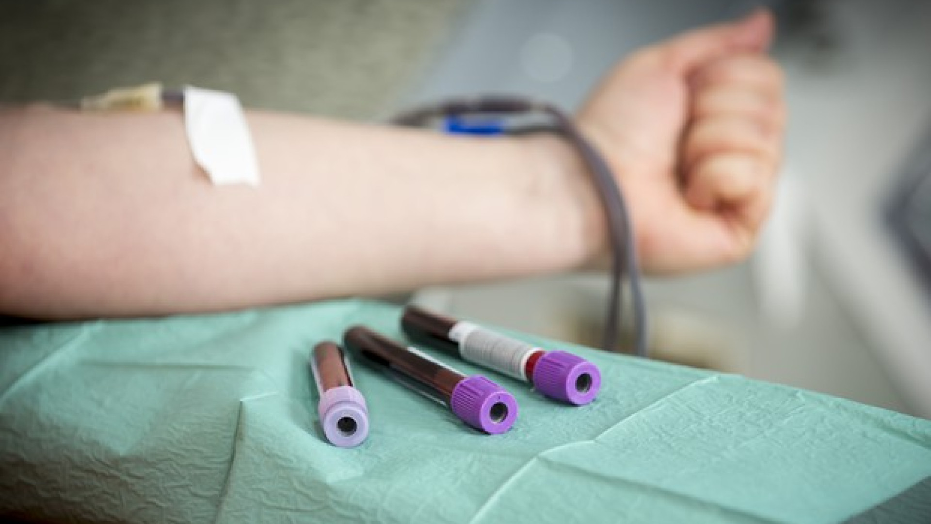"Il bisogno di sangue non va in vacanza". L'assessore Donini scrive ai donatori