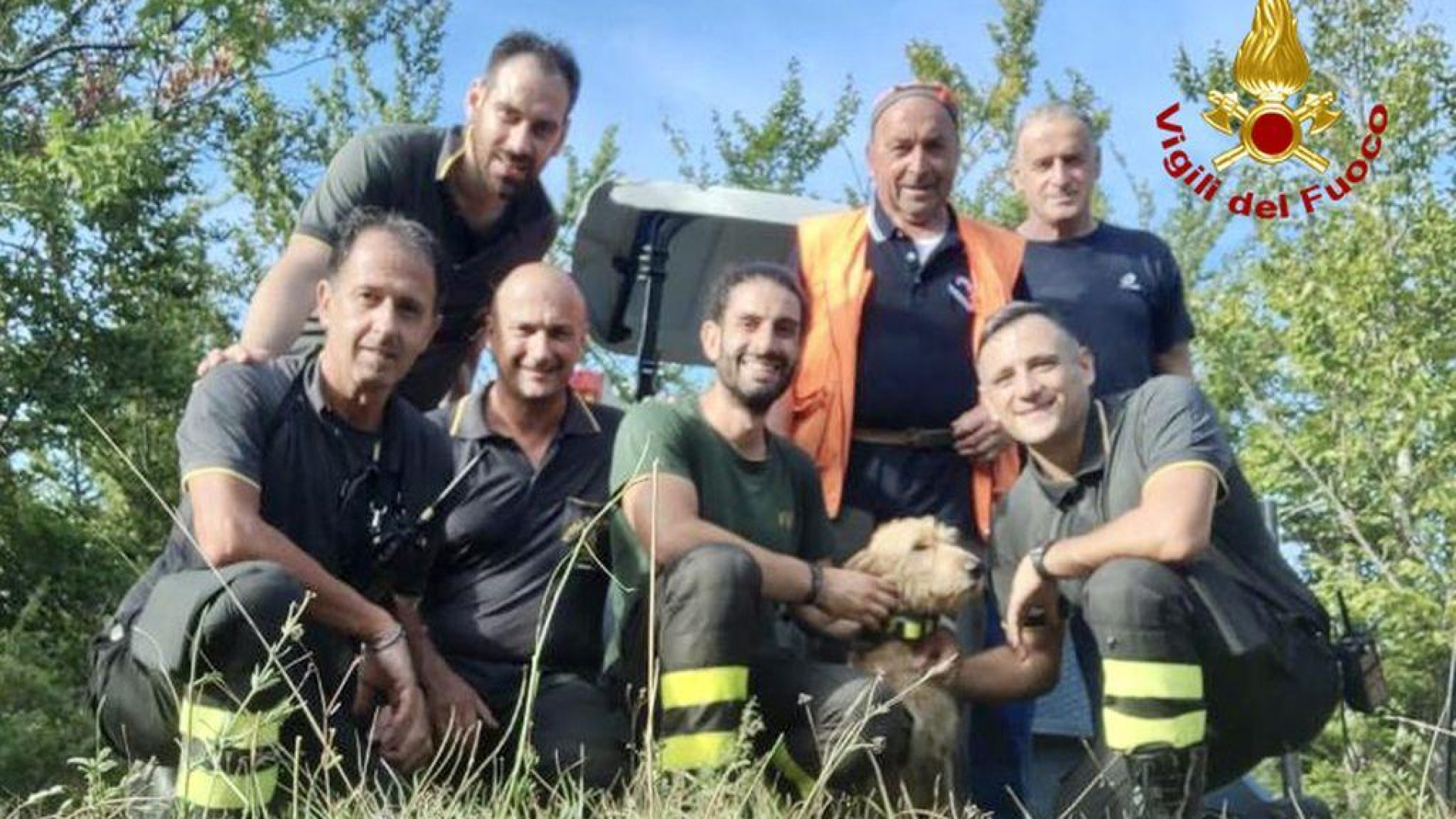 Cane da caccia cade in un dirupo di venti metri. Salvato dai vigili del fuoco