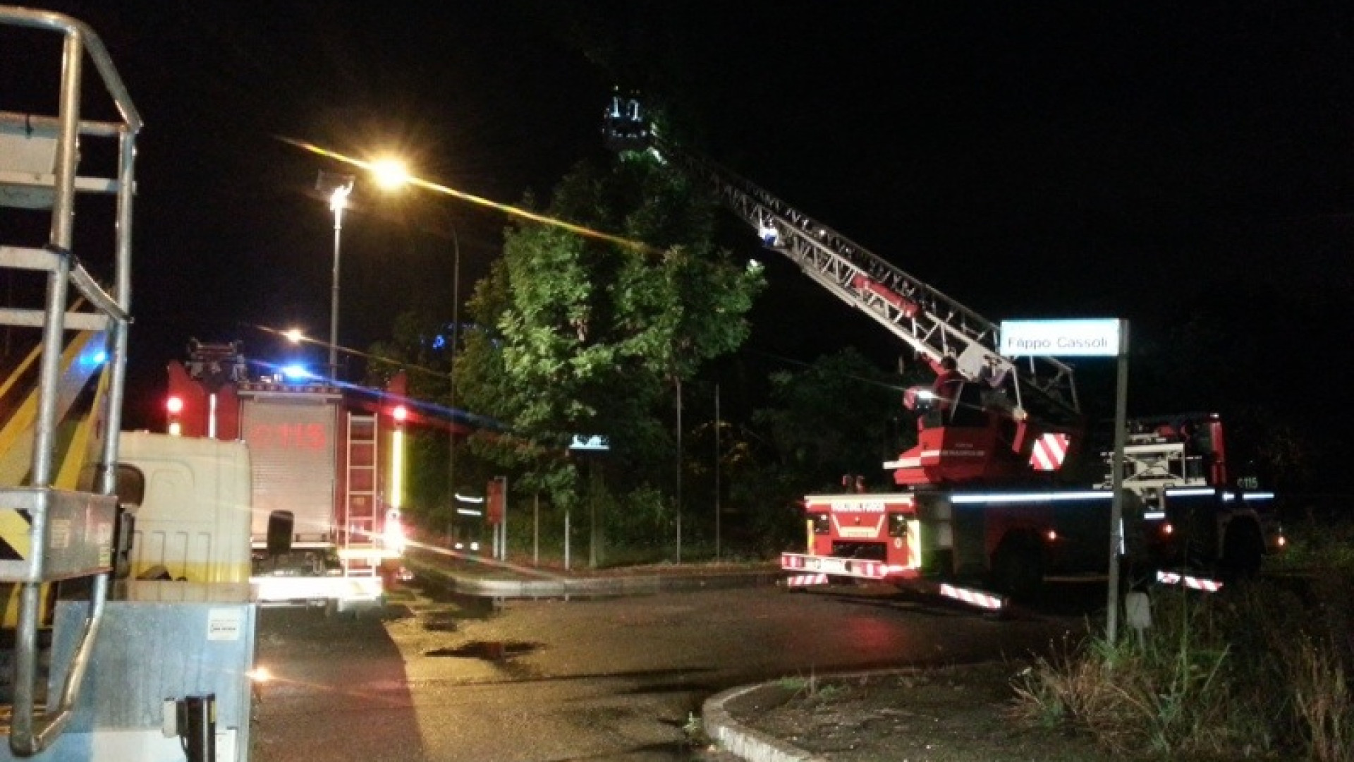 Estate pazza, ancora danni: crolla un grosso albero, tranciato il palo della luce