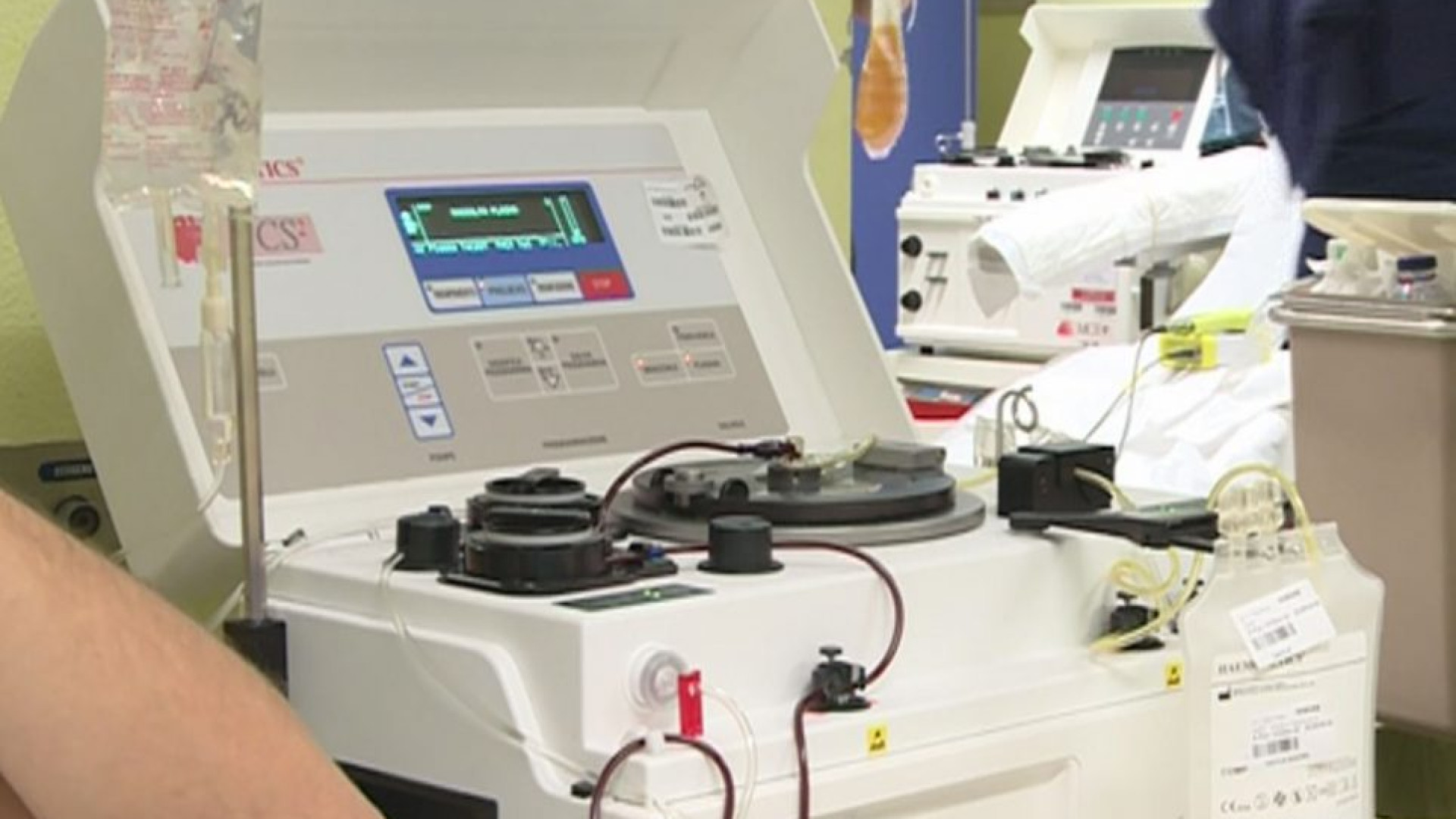 Donare il sangue, a Piacenza oltre 300 stranieri "salvano" la campagna Avis