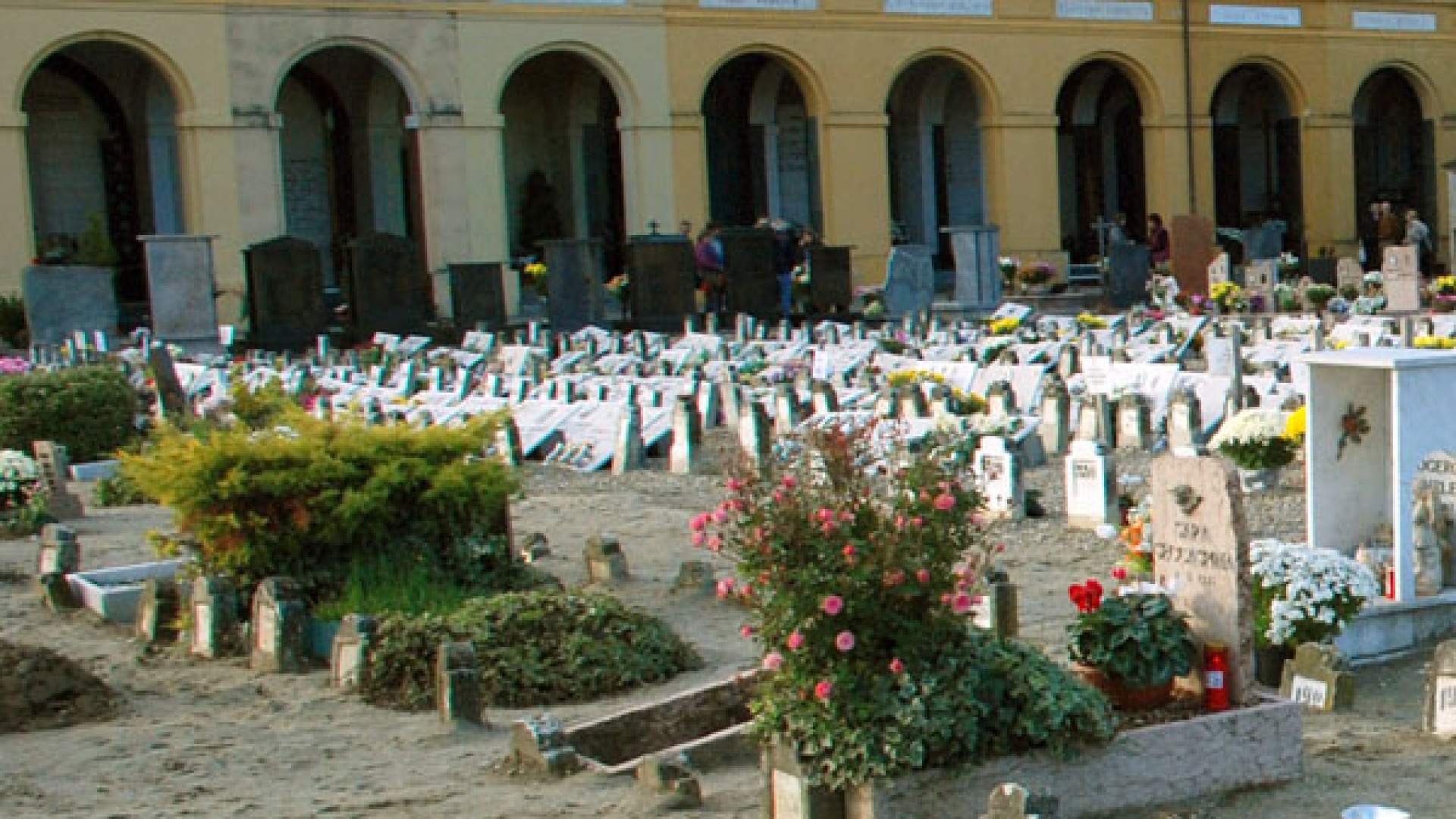 "Rubato quadretto con dedica. Nemmeno al cimitero si può stare tranquilli?"